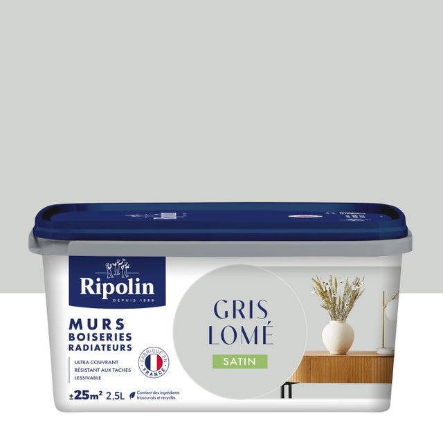 Peinture mur, boiserie, radiateur gris lomé satin RIPOLIN , 2.5L