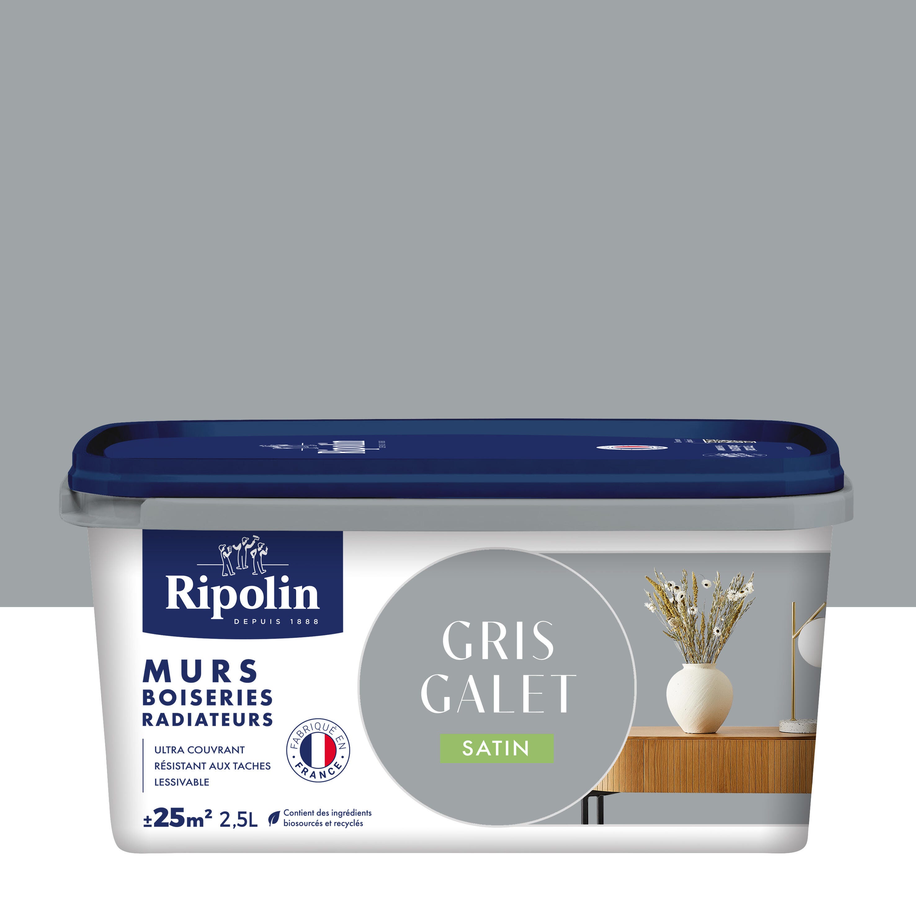 Peinture Mur Boiserie Radiateur Gris Galet Satin RIPOLIN 2 5L peinture-mur-boiserie-radiateur-gris-galet-satin-ripolin-2-5l