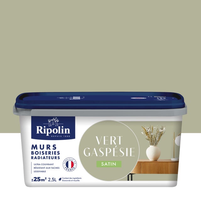 Peinture mur, boiserie, radiateur vert gaspésie satin RIPOLIN , 2.5L