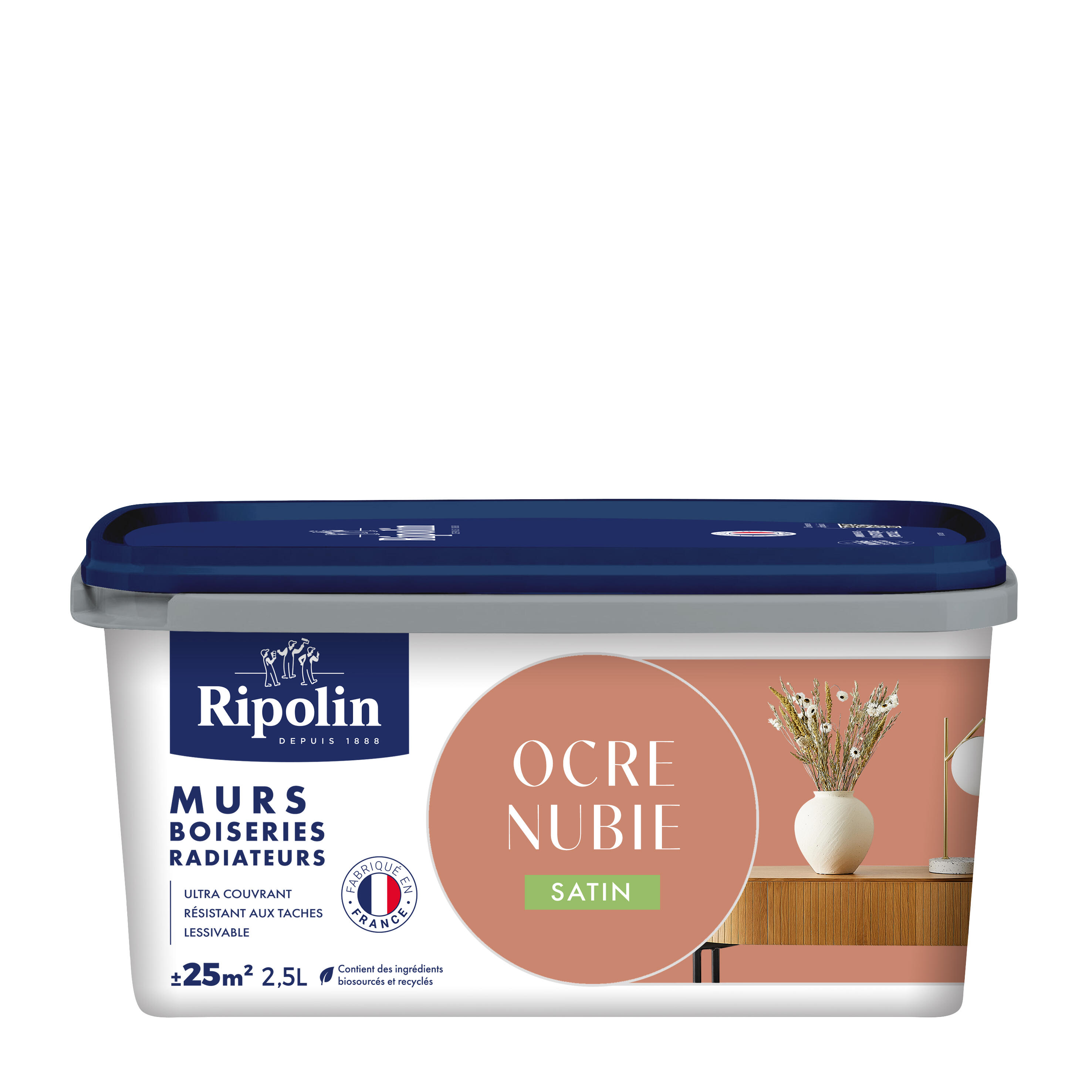 Peinture mur, boiserie, radiateur ocre nubie satin RIPOLIN , 2.5L - 5