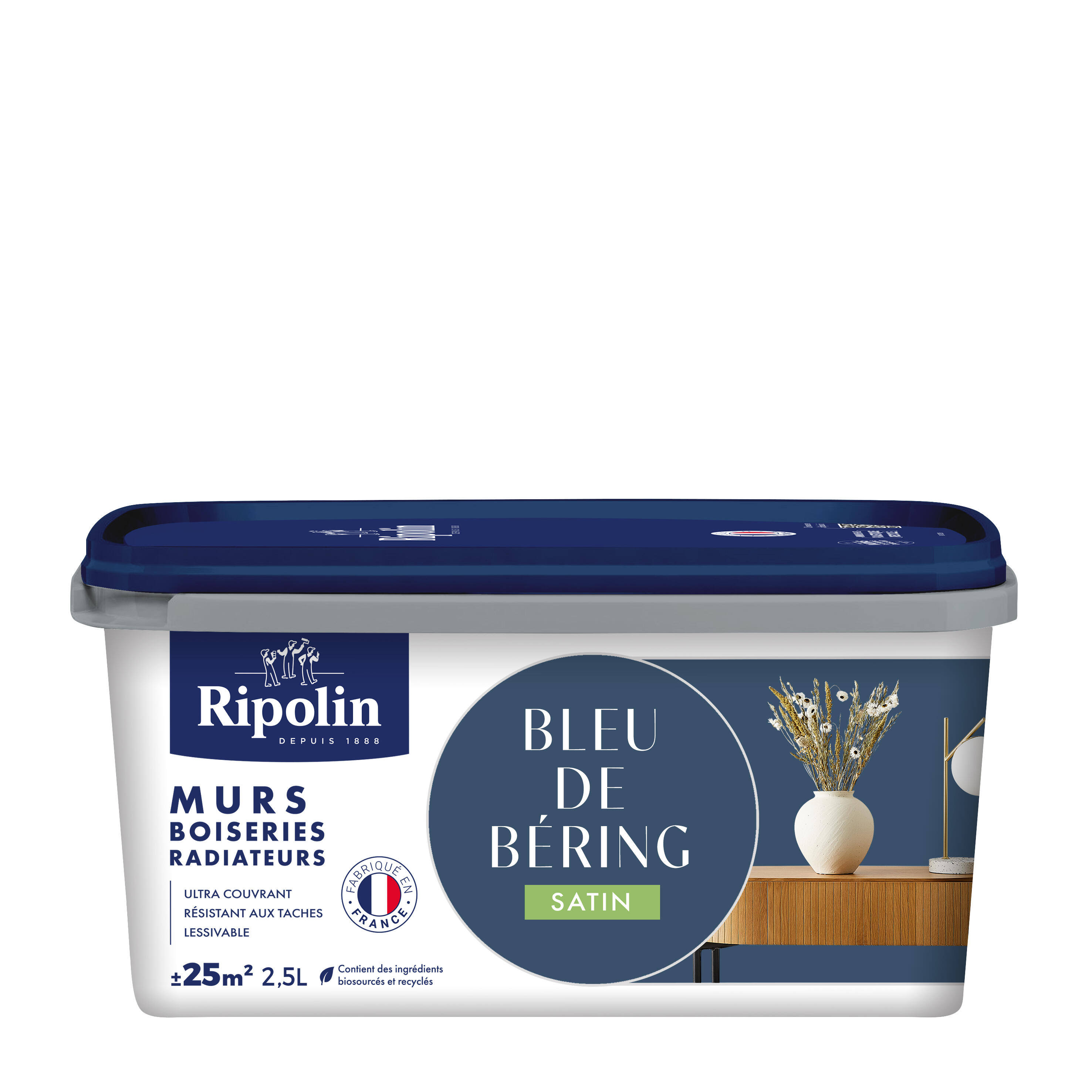 Peinture mur, boiserie, radiateur bleu de béring satin RIPOLIN , 2.5L - 8