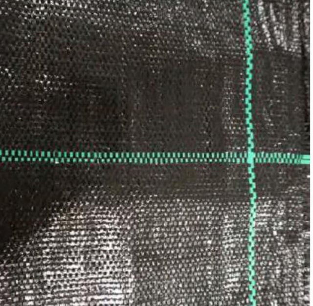 Malha anti-ervas 1x100m