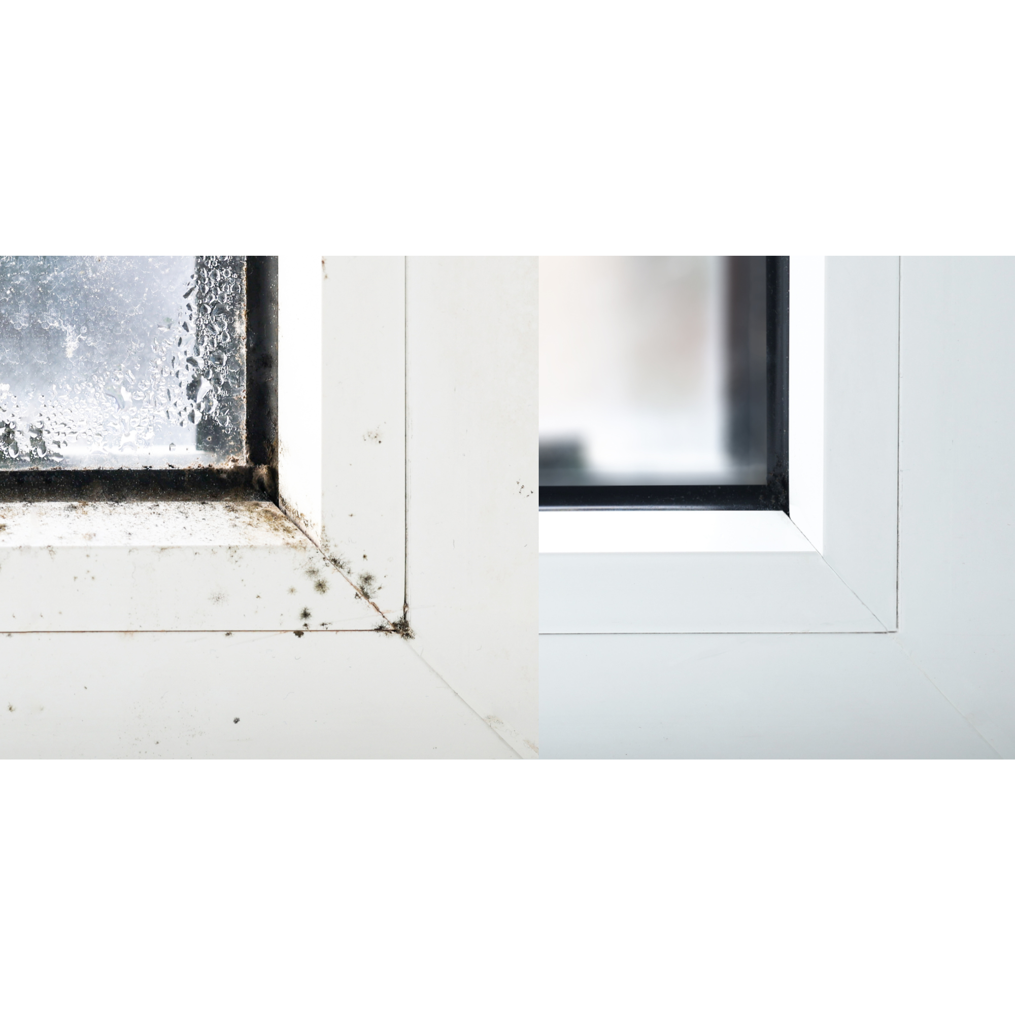 Limpìador antimoho BRUGUER 1L - 4