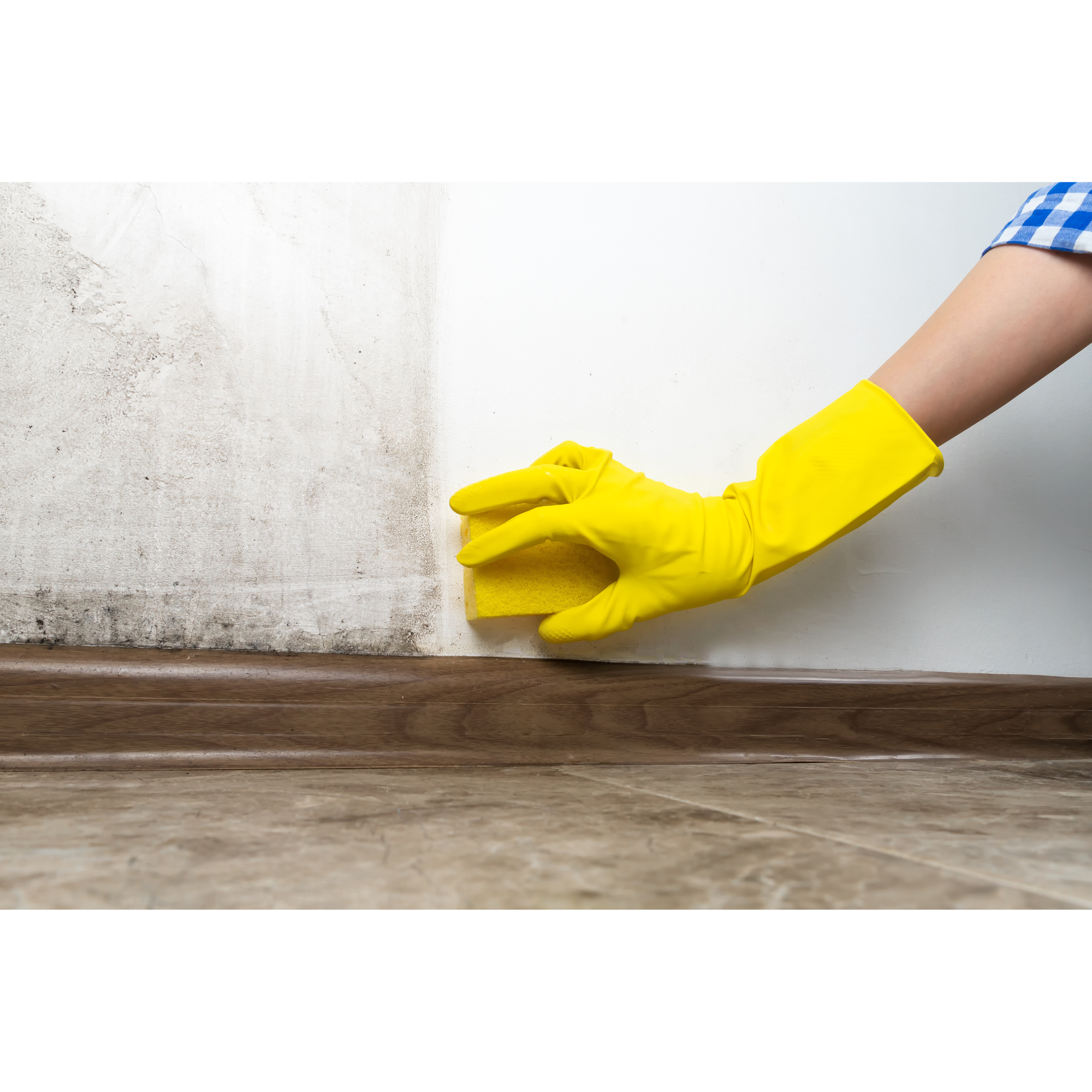 Limpìador antimoho BRUGUER 1L - 3