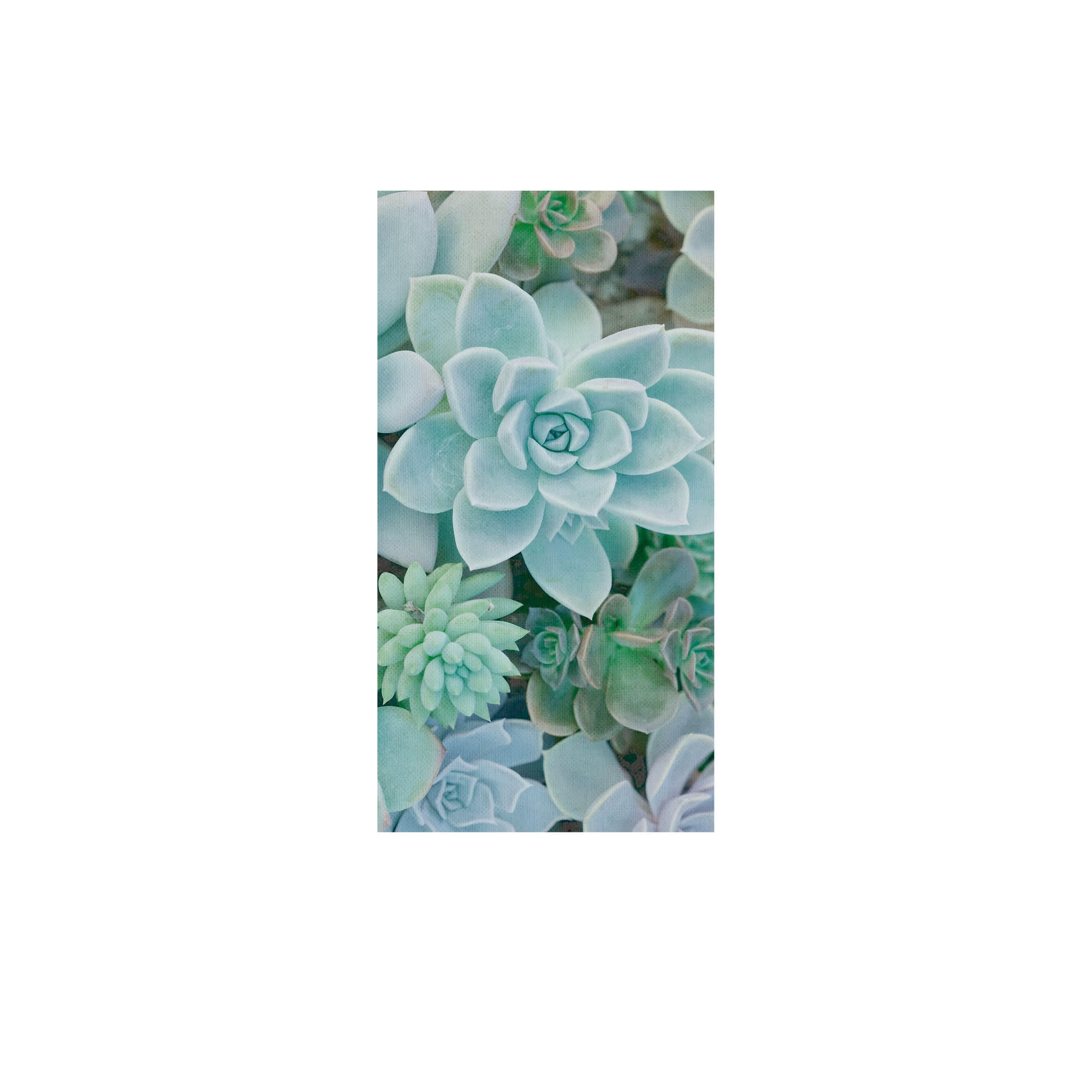 Mural adhesivo textil liso lavable naturaleza Succulent azul 132 x 260 cm MOTIF - 2