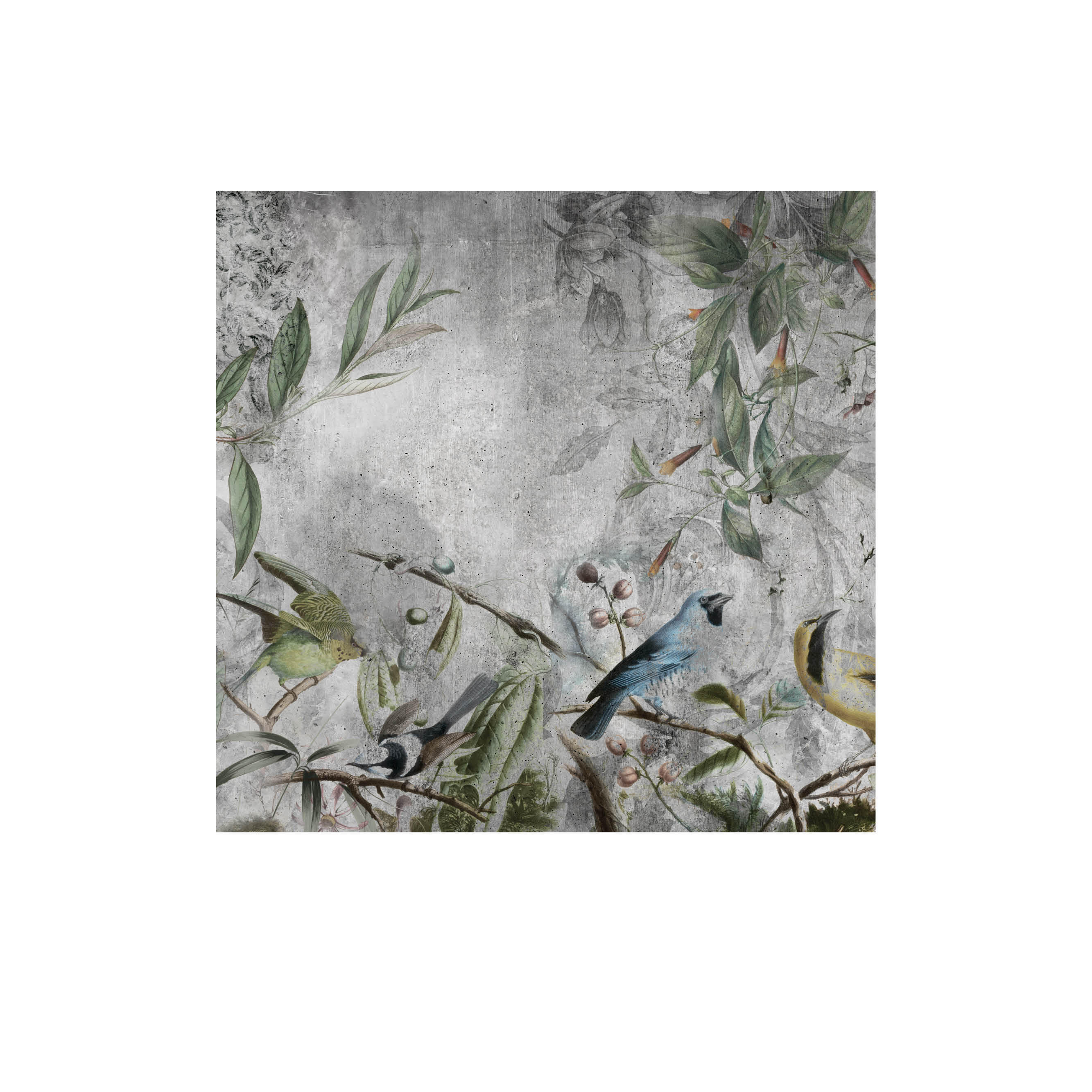 Mural adhesivo textil liso lavable animales Pájaros Tropicales verde 257 x 250 cm MOTIF - 2