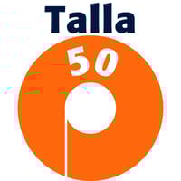 BERMUDA MULTIBOLSILLOS BASICA GRIS TALLA 50 VELILLA 344 - 5