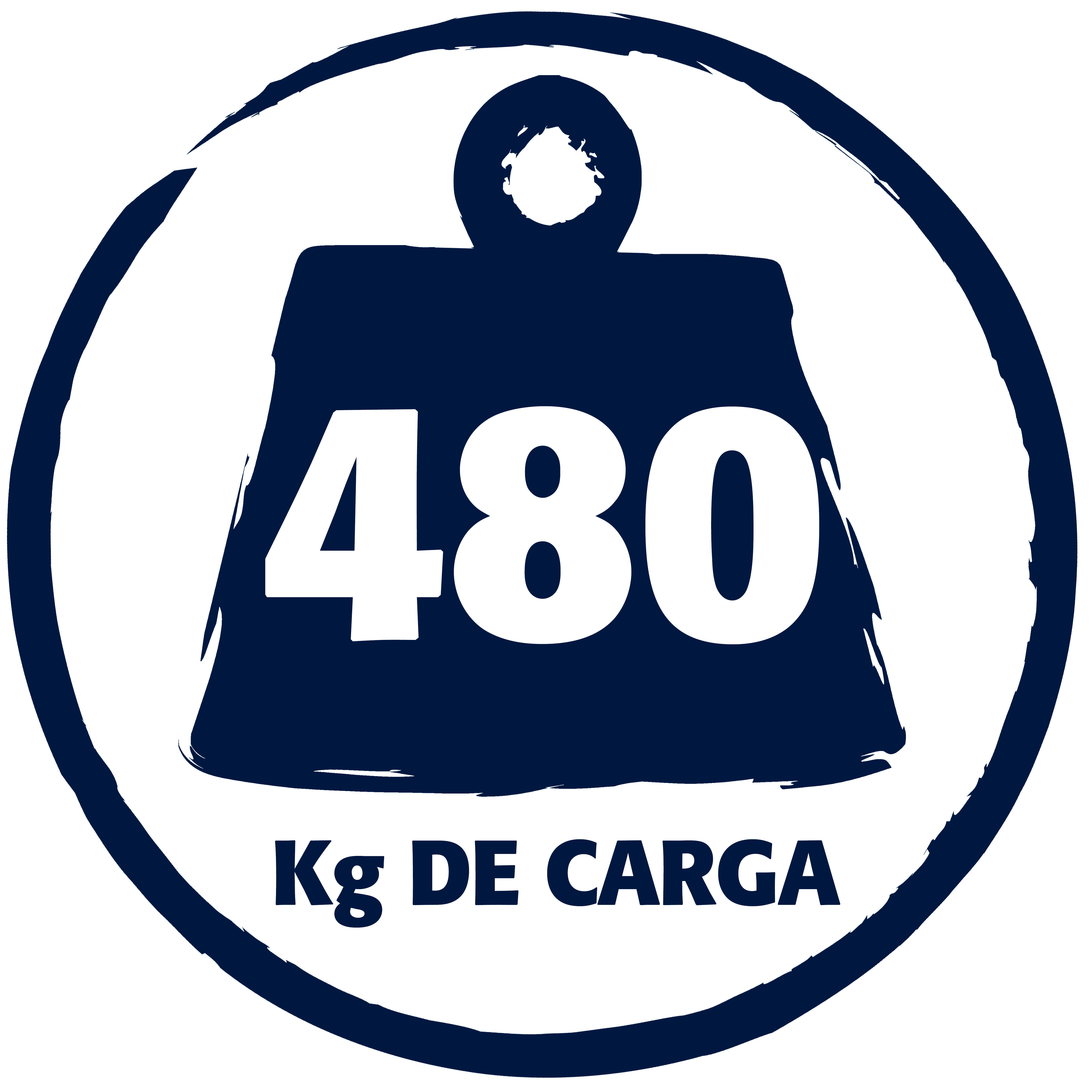 RAMPA DE ALUMINIO FIJA 200 X 2000 MM. SVELT - 2