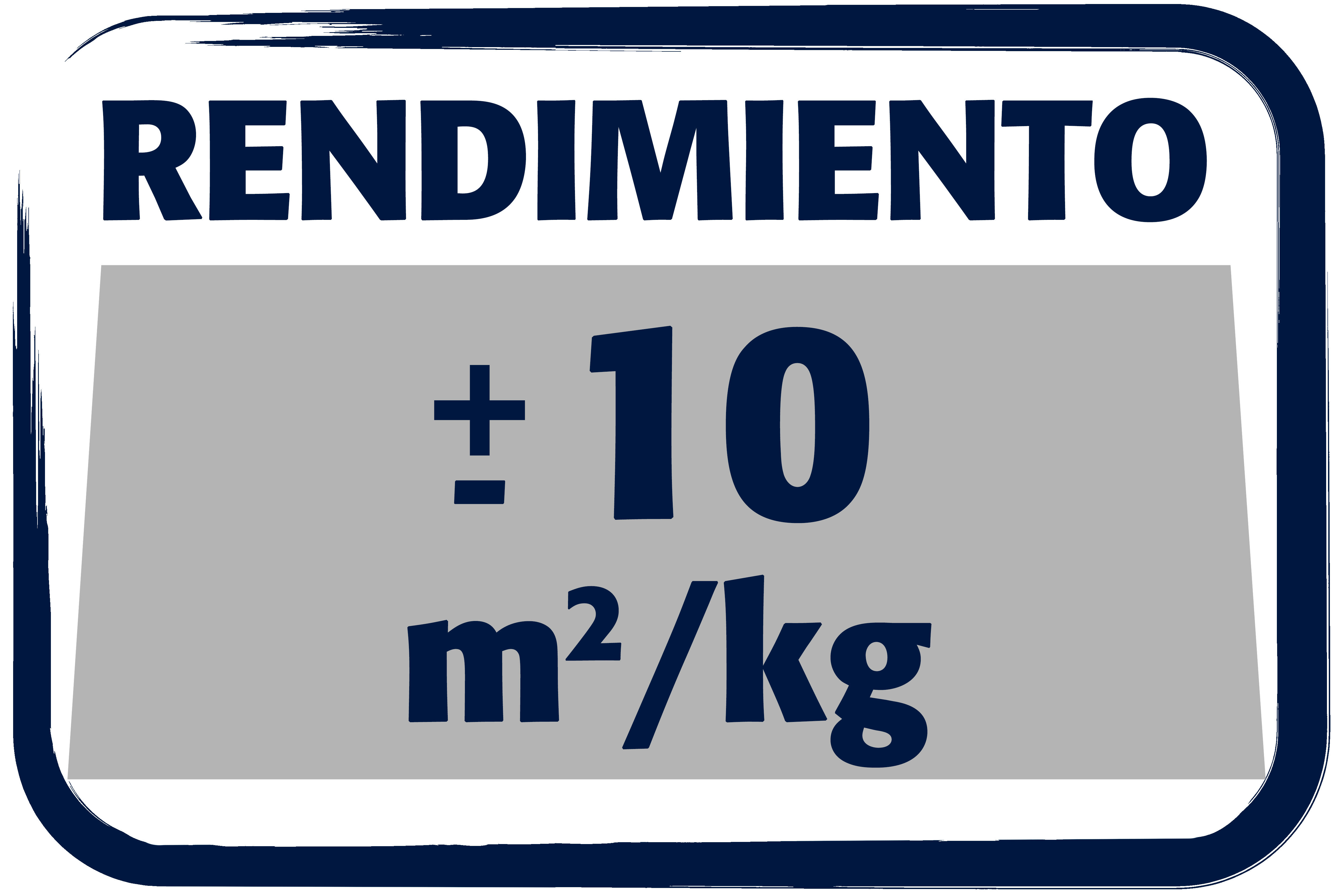 PLASTE CAPA GRUESA REFORZADO 15KG - 2