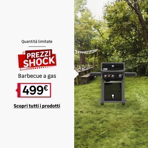 Speciale Prezzi shock barbecue e-330
