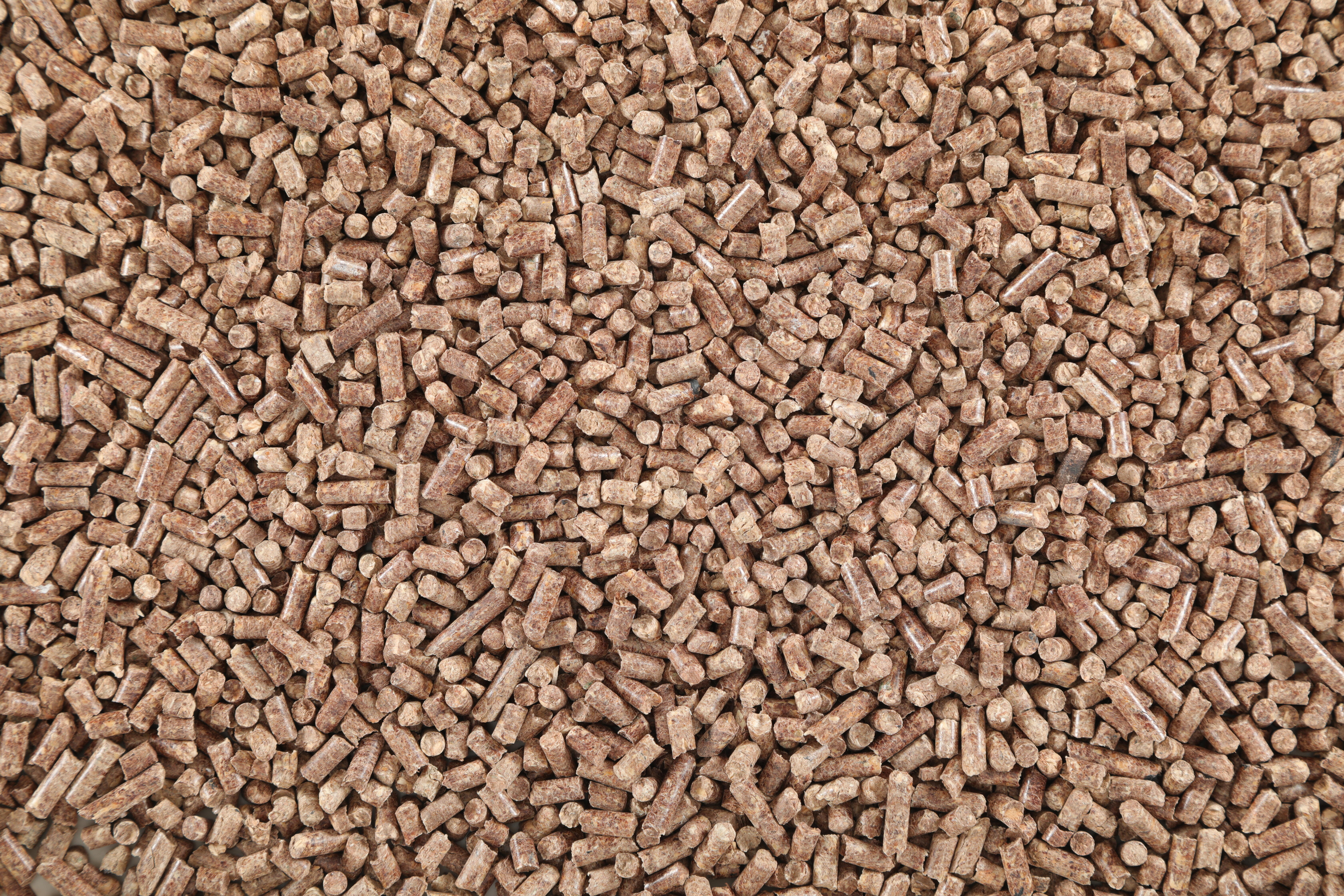 Litière PURECAT végétale et compostable 8 litres - 2