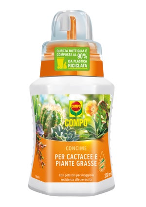Concime liquido COMPO per pianta grassa per piante grasse 0.25 L | Leroy  Merlin
