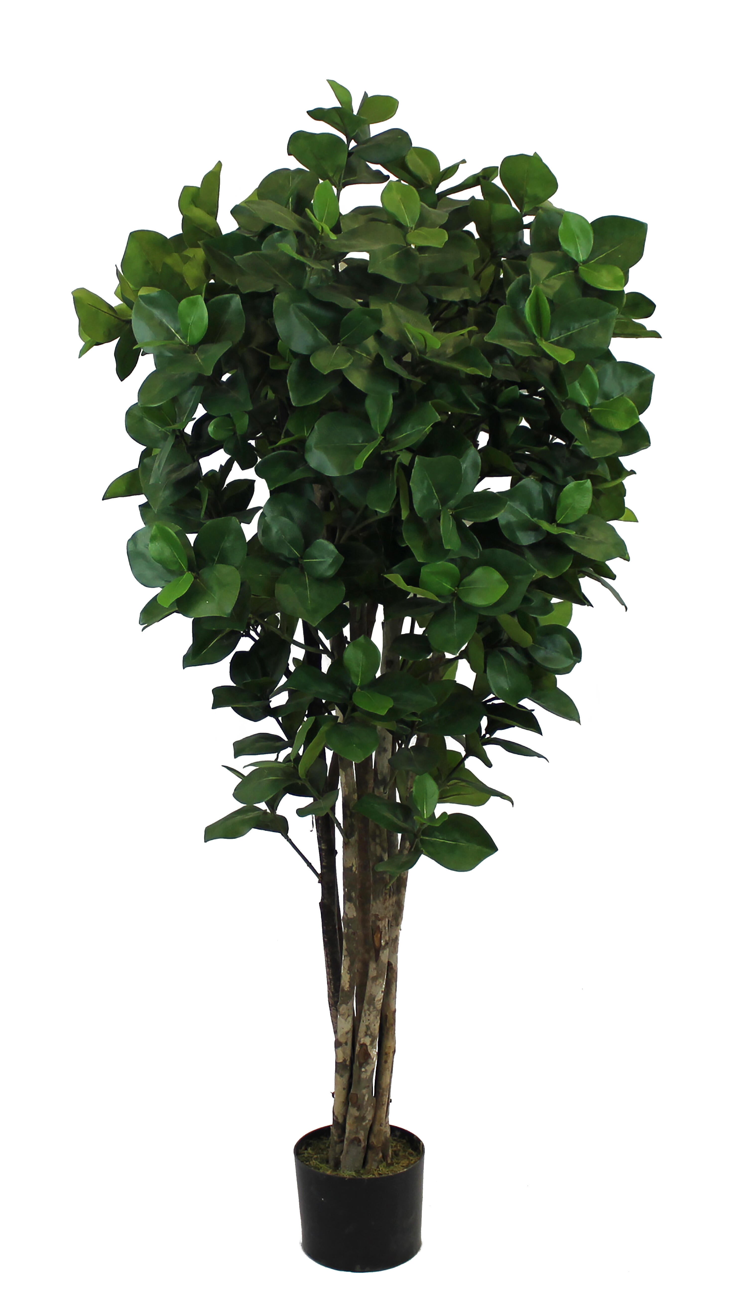 Sinder  Planta Artificial En Maceta De Plástico De 150X60cm , Leroy Merlin