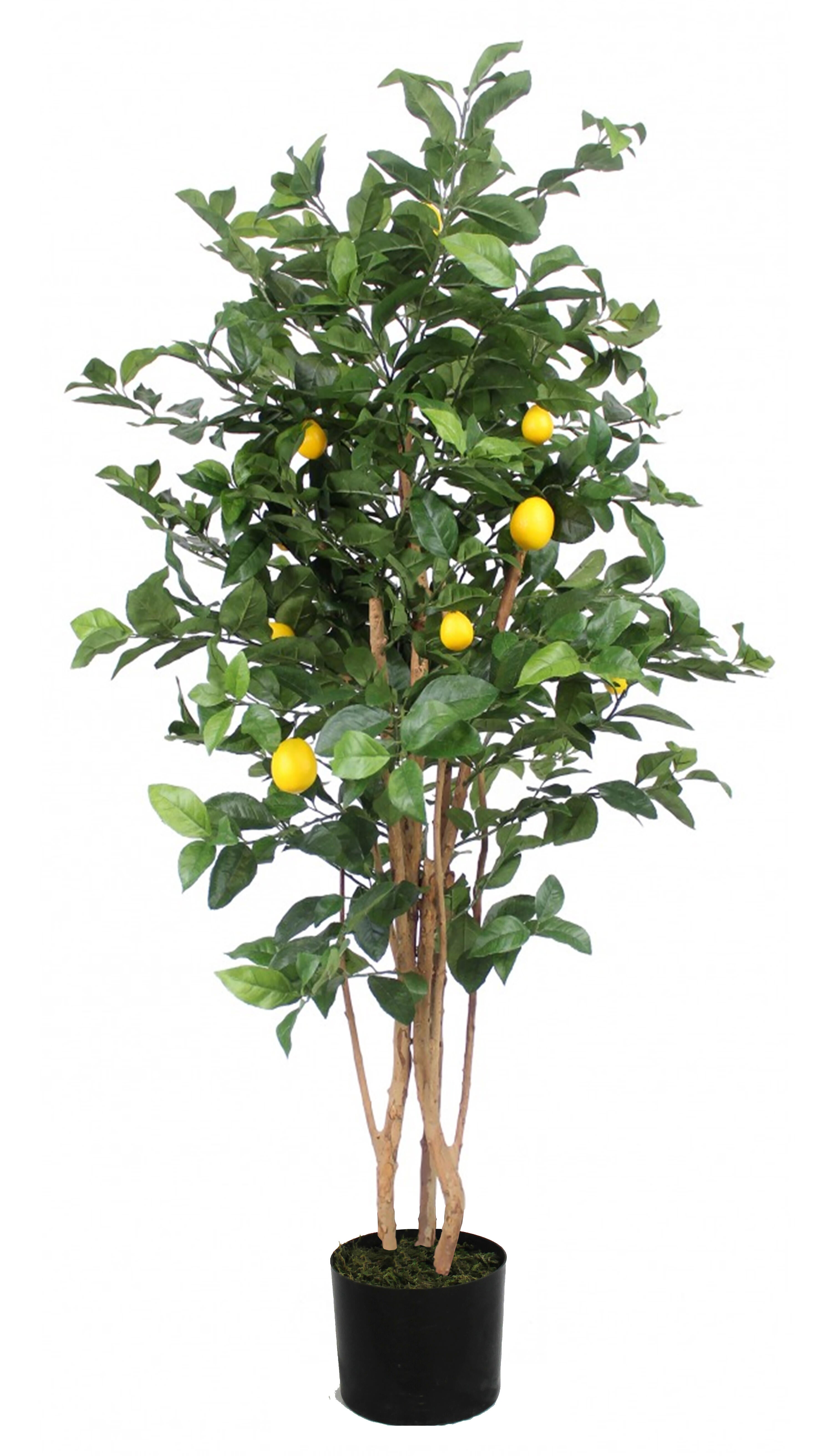 Sinder  Planta Artificial En Maceta De Plástico De 180X70cm , Leroy Merlin