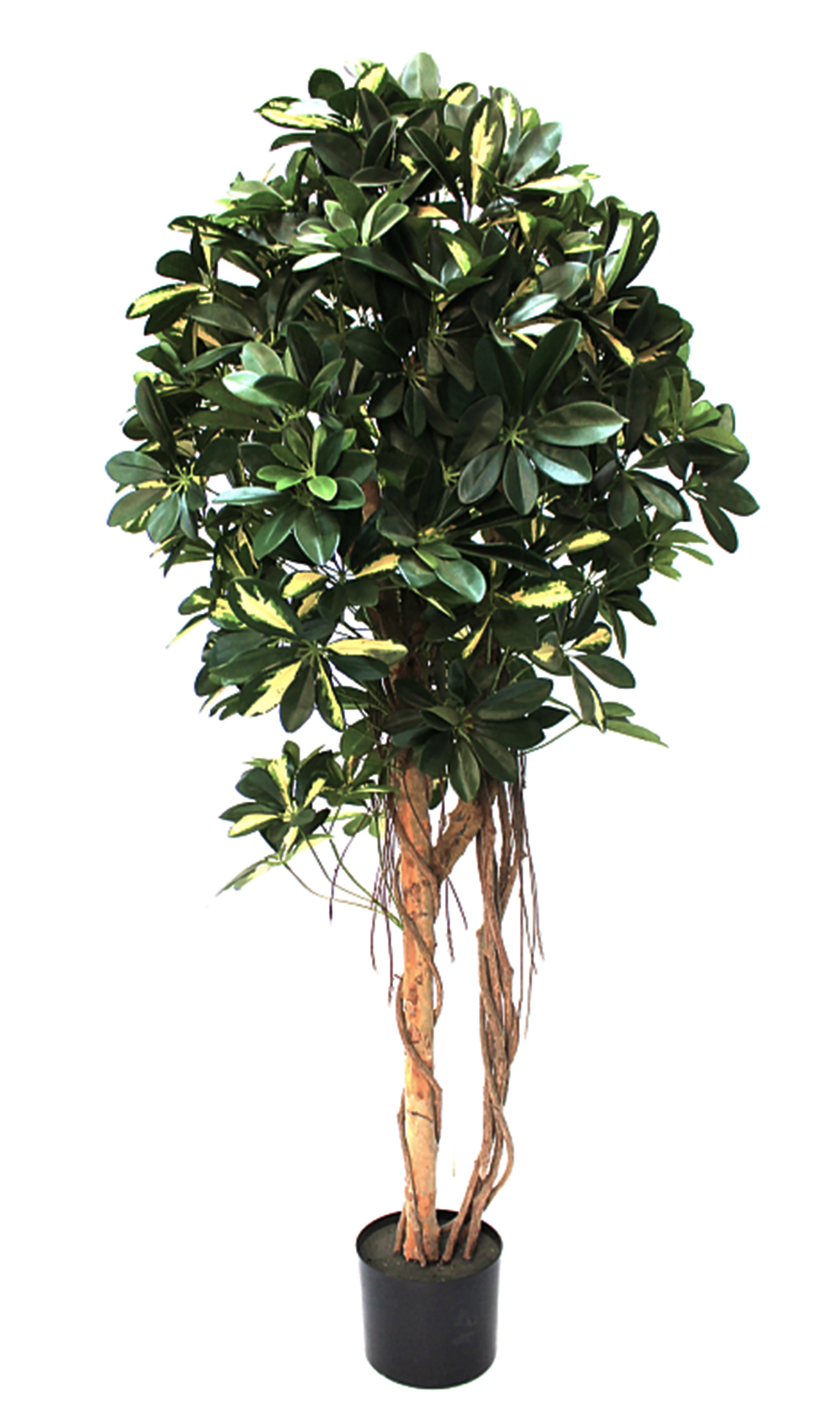 Sinder  Planta Artificial En Maceta De Plástico De 150X60cm , Leroy Merlin