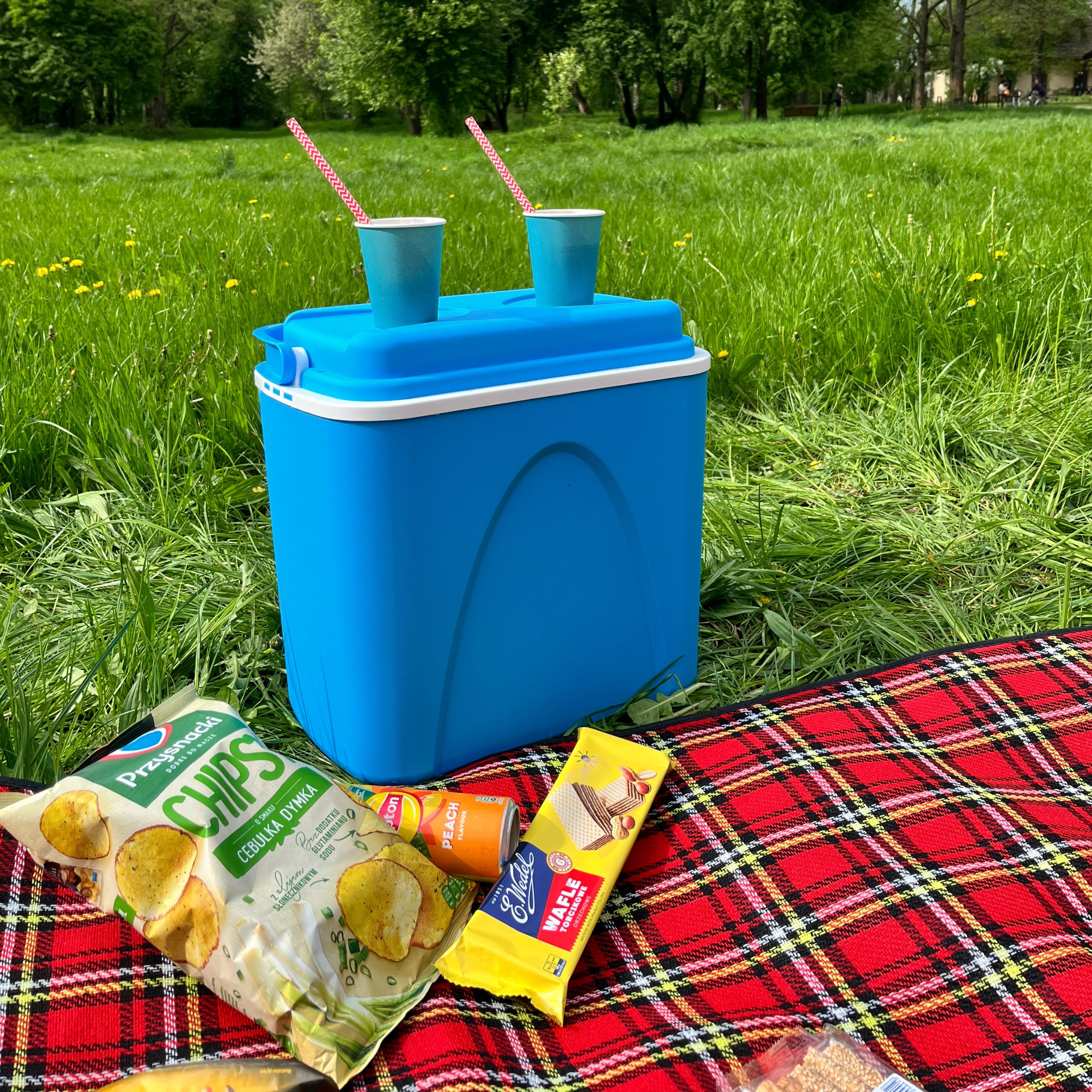 Lodówka turystyczna 24l pas na wkłady Kamai - Leroy Merlin