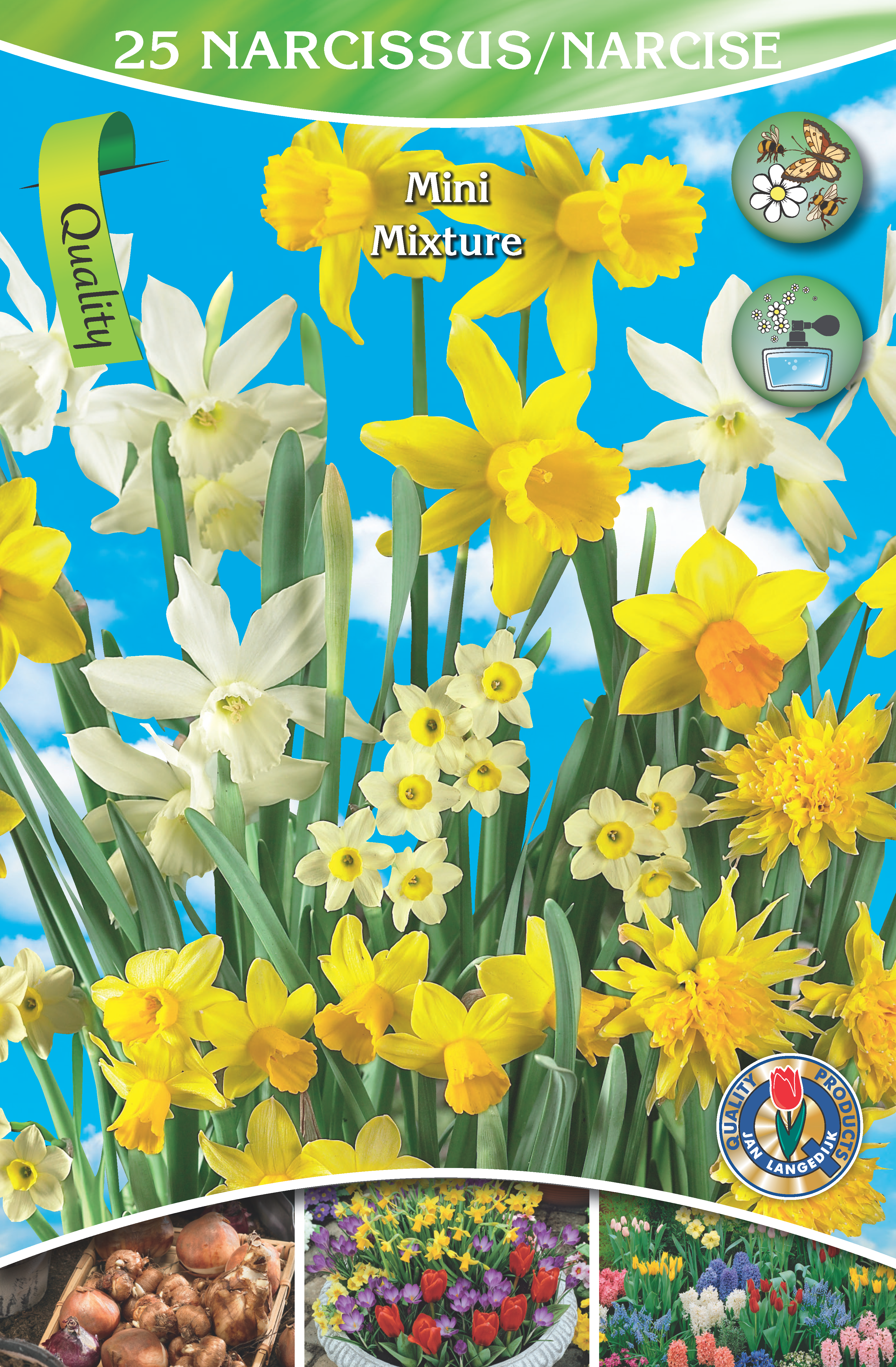 Narcissus Mix