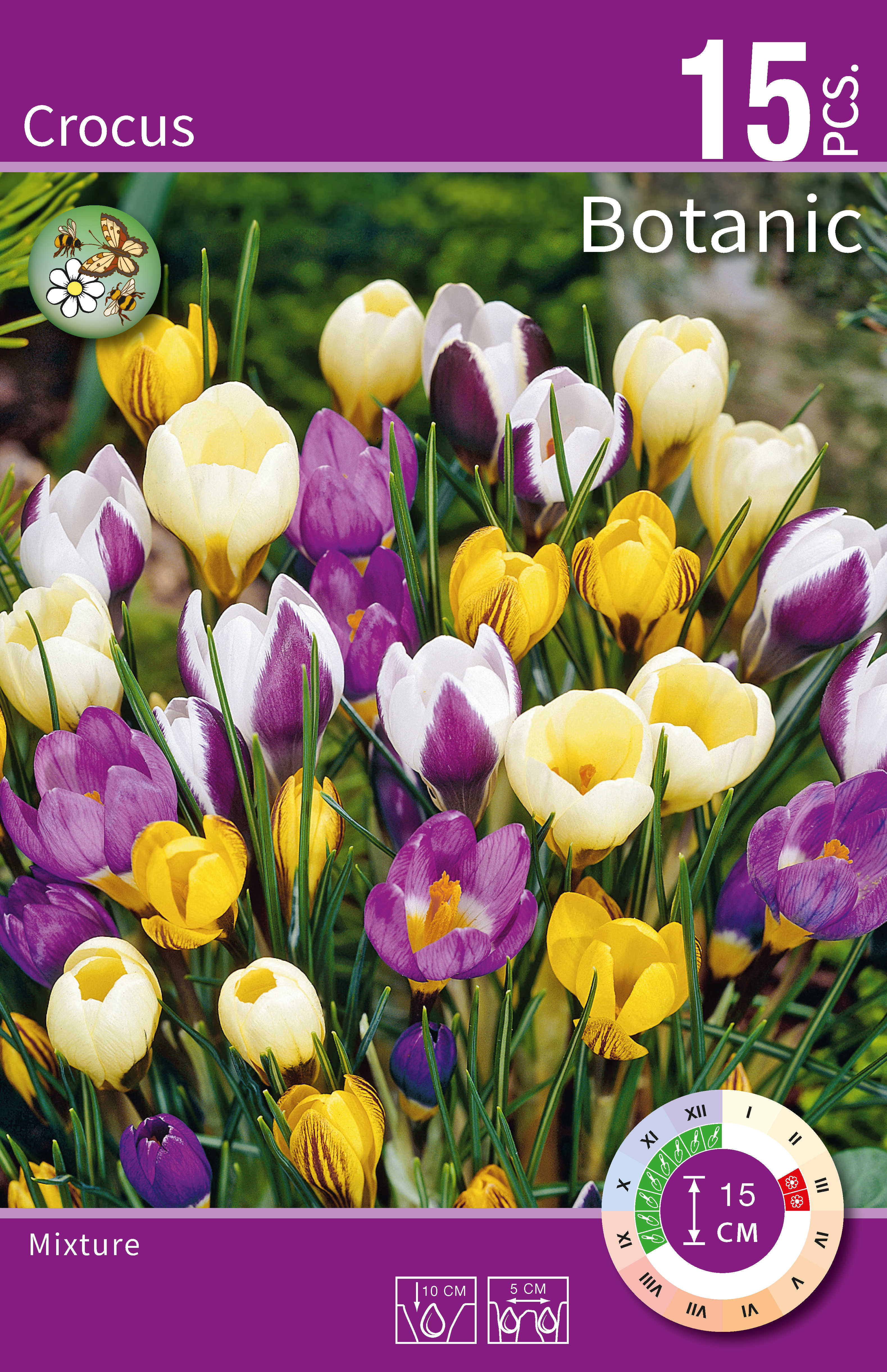 Krokus Botaniczny mix 5/7 15szt. Cebulki kwiatów