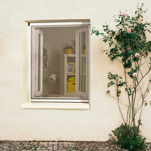 Moustiquaire enroulable aluminium blanc pour fenêtre H160 x L160 cm recoupable