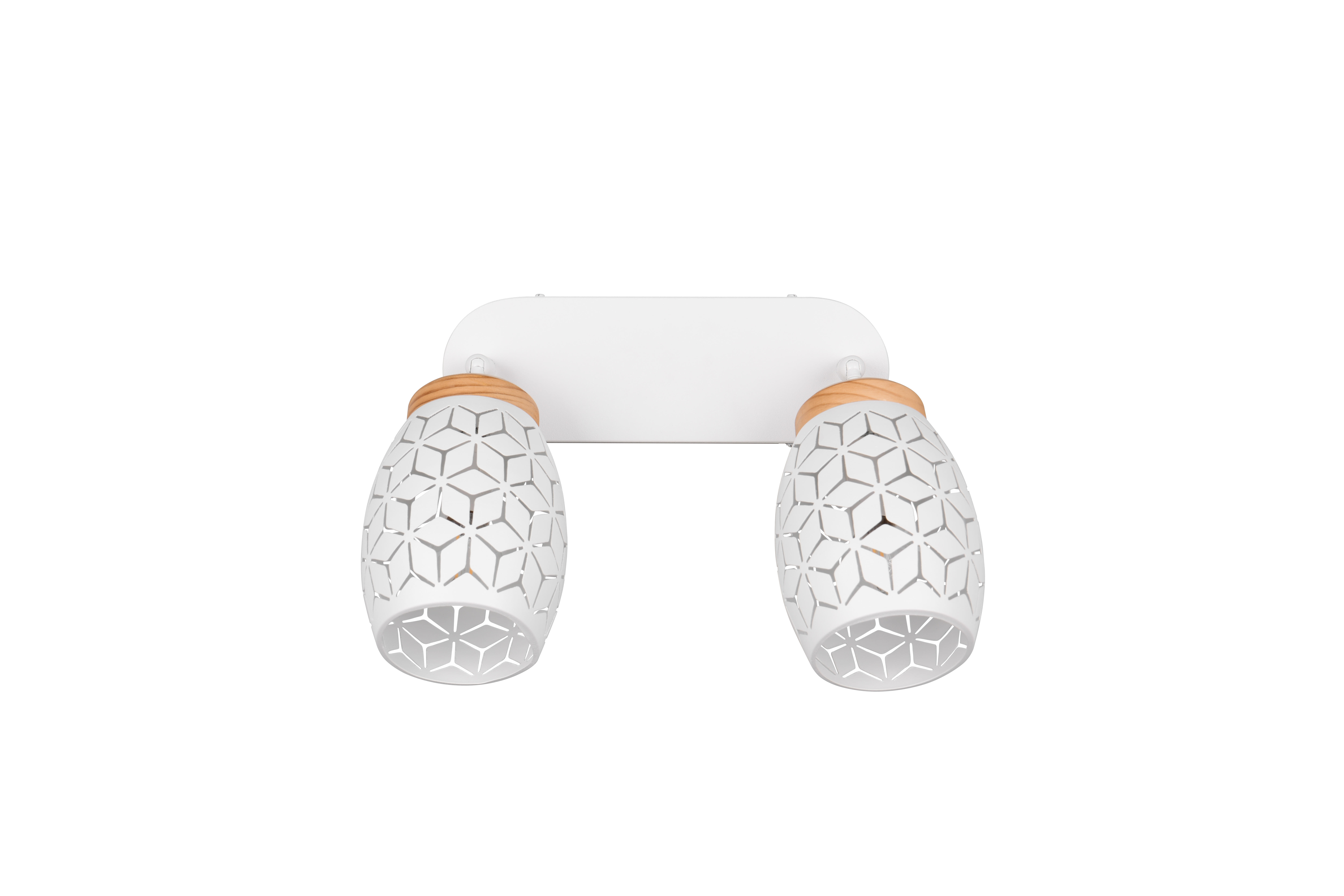 Projetor sem fonte de luzes Bidar 2 luzes IP20 E14 branco 28x27 cm REALITY - 5