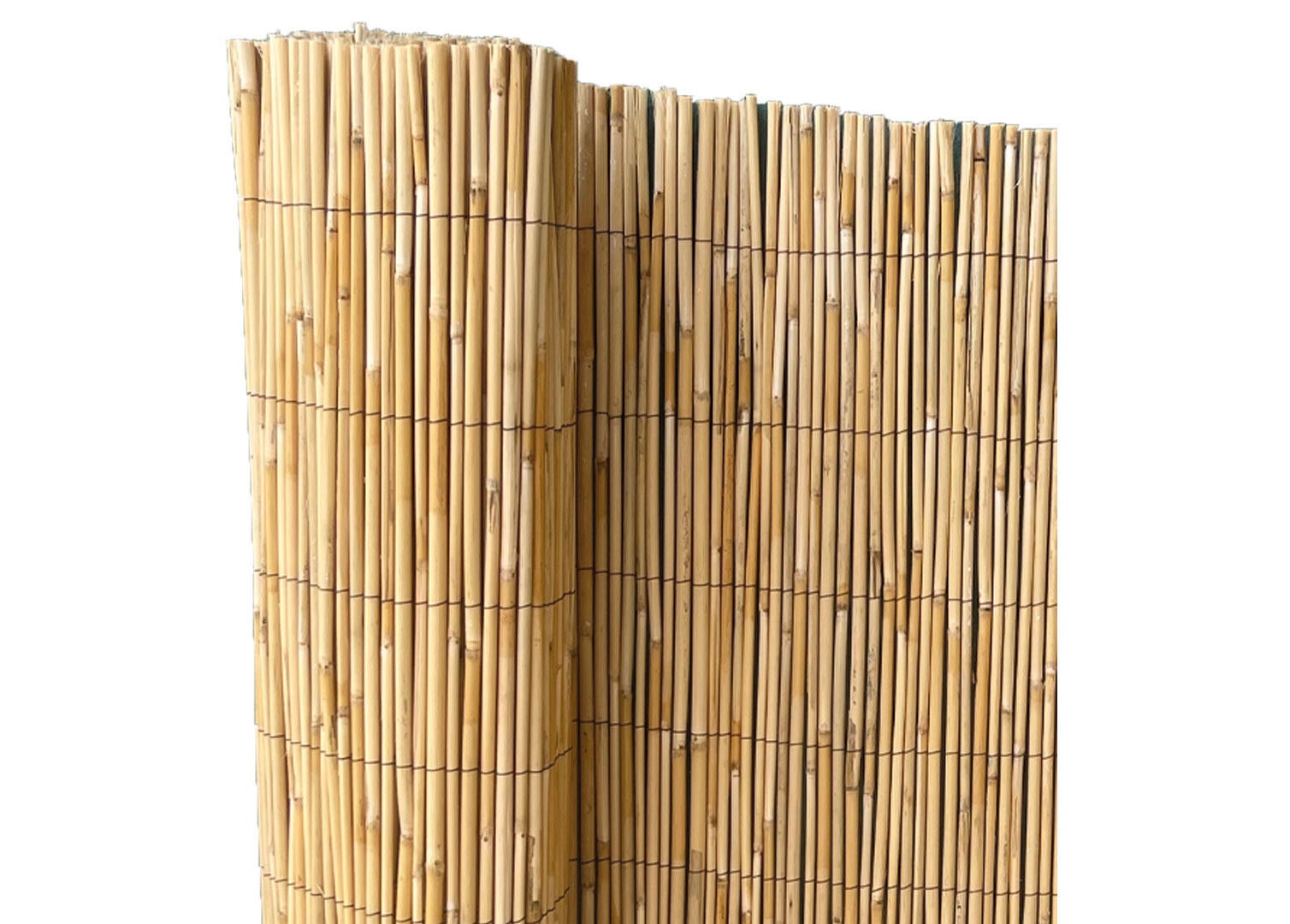 Arella bambù 4F GROUP canniccio arella big 200X300 CM L 3 x H 2 m - 3