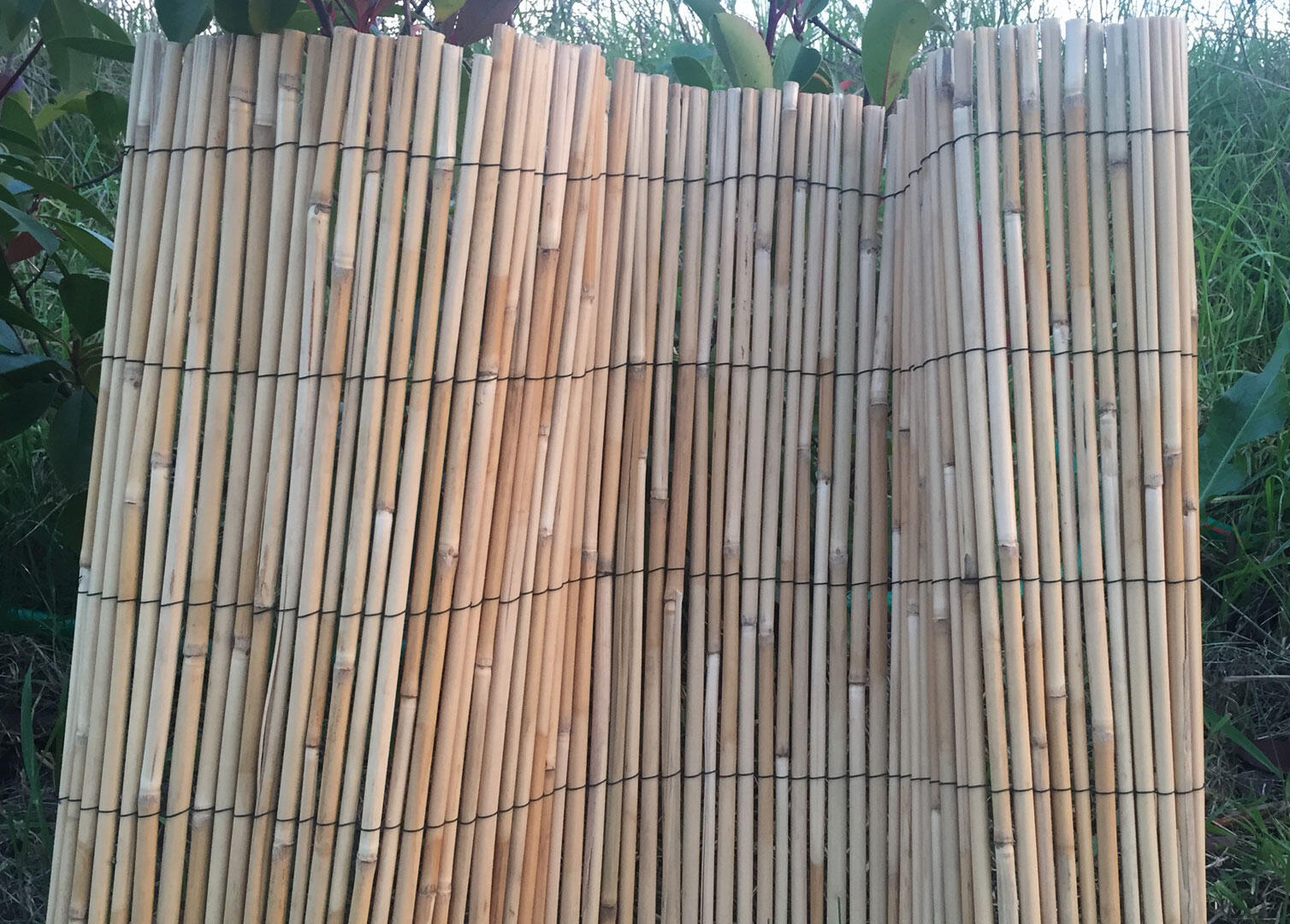 Arelle In Bambù 180x300 Cm - Resistente All'Acqua, Naturale E Durevole