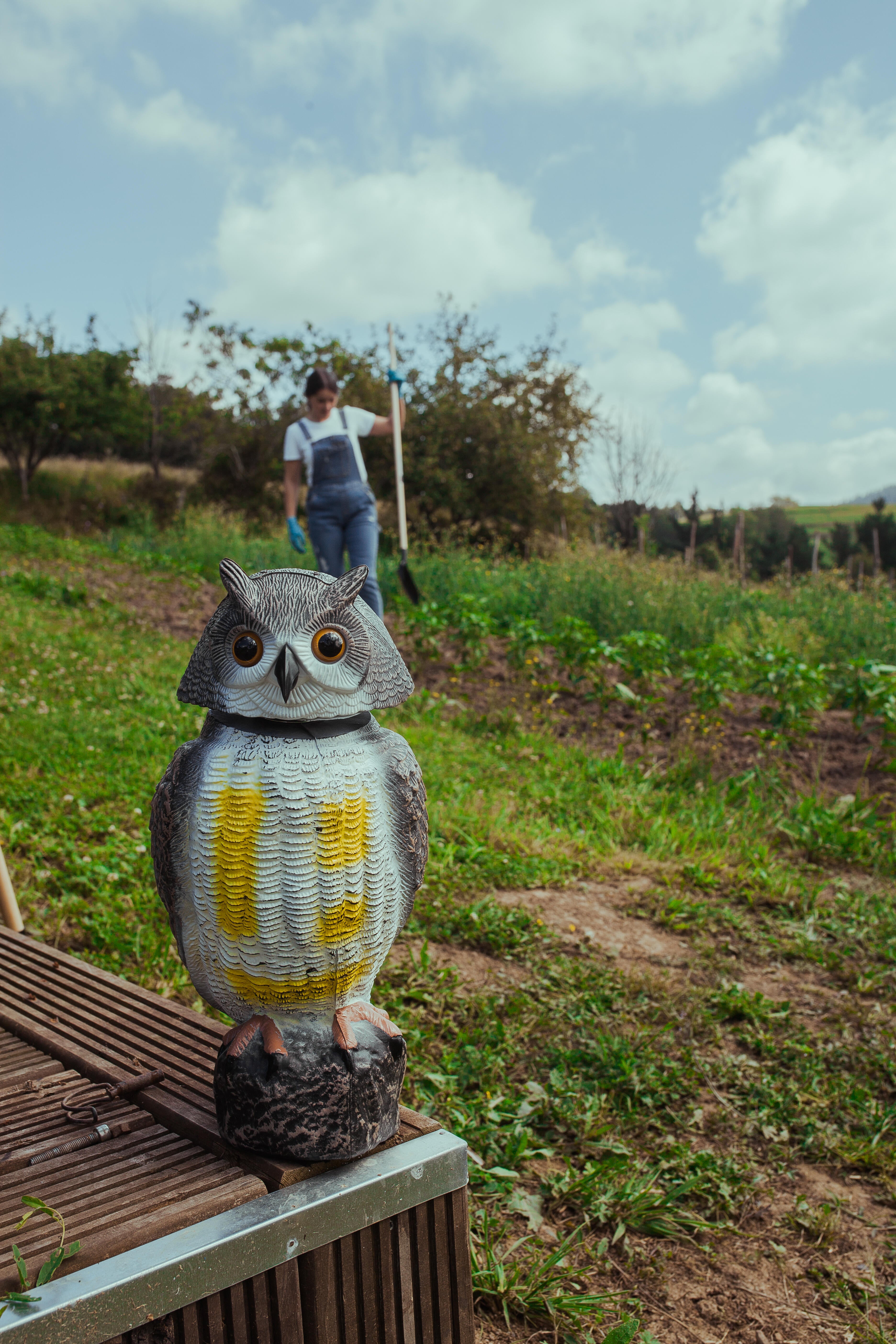 Anti-pássaros MOCHO EÓLICO - 5