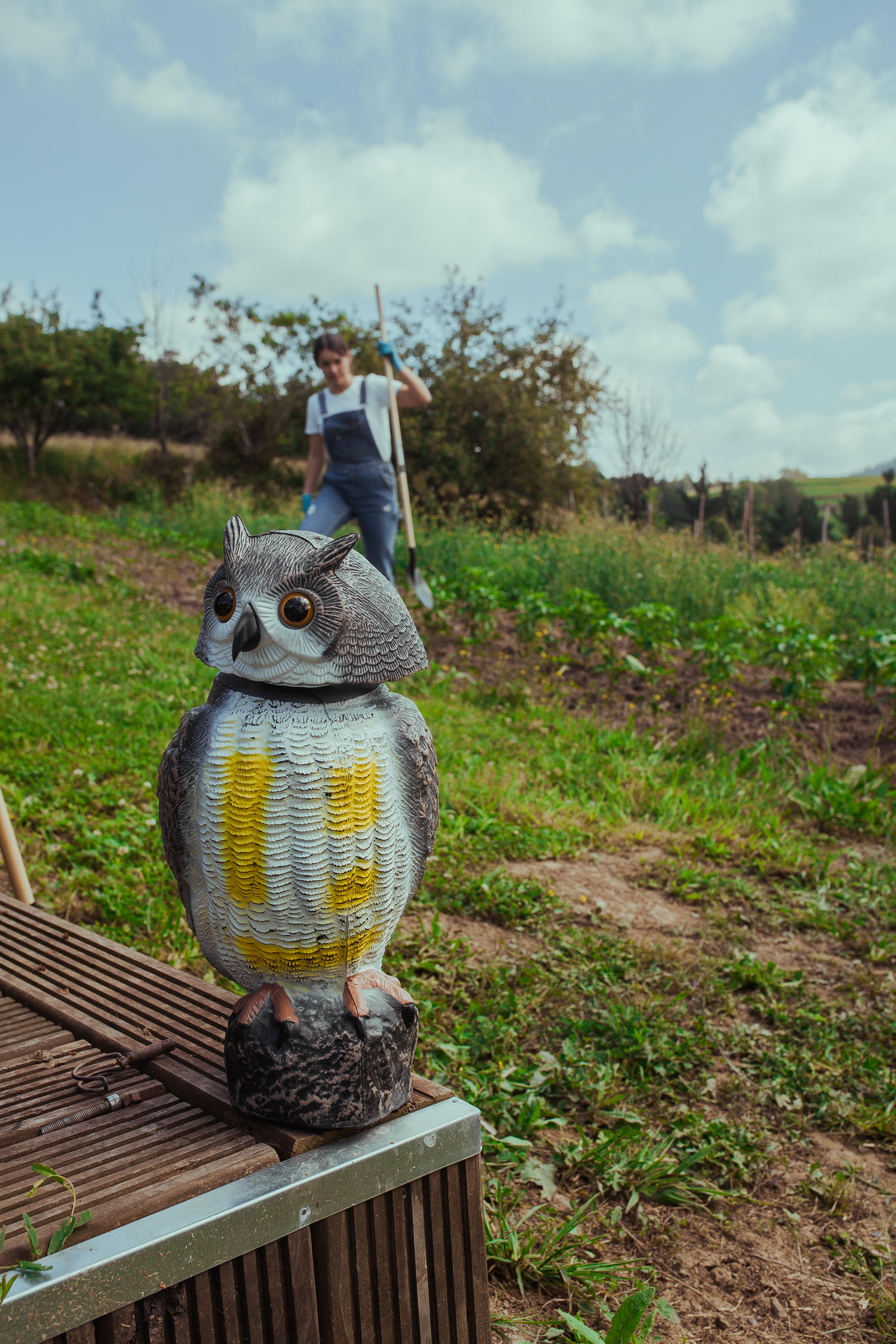 Anti-pássaros MOCHO EÓLICO - 4