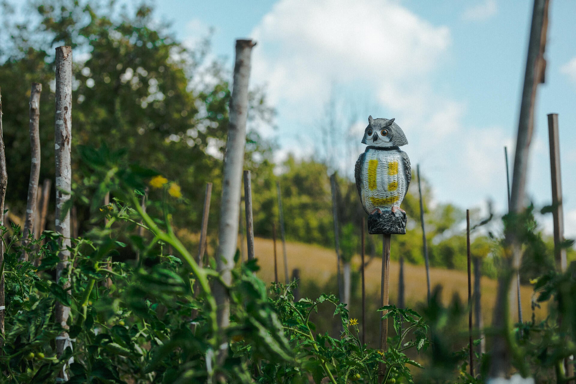 Anti-pássaros MOCHO EÓLICO - 3