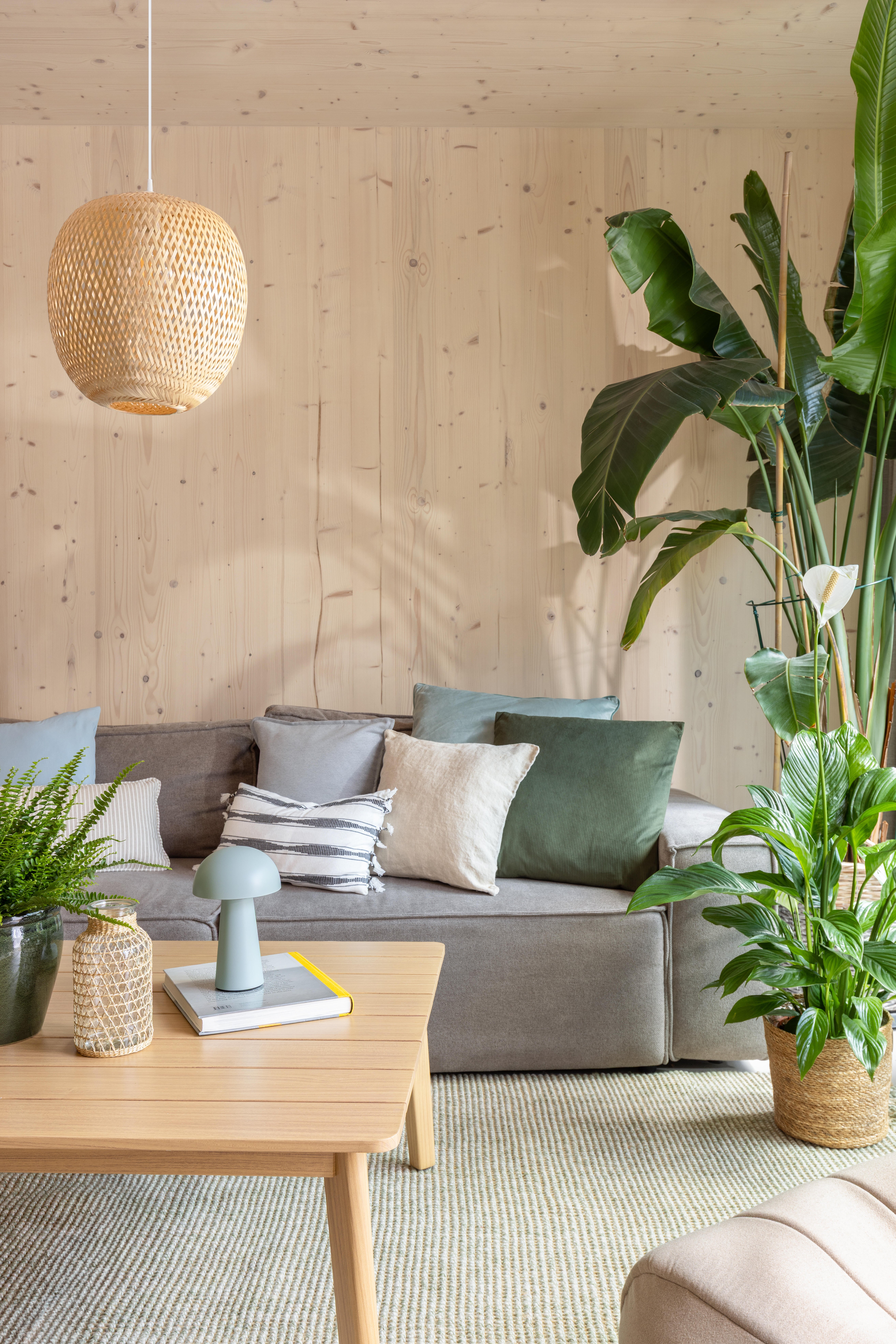 Poduszka welwetowa Gaja oliwka 45 x 45 cm - 6