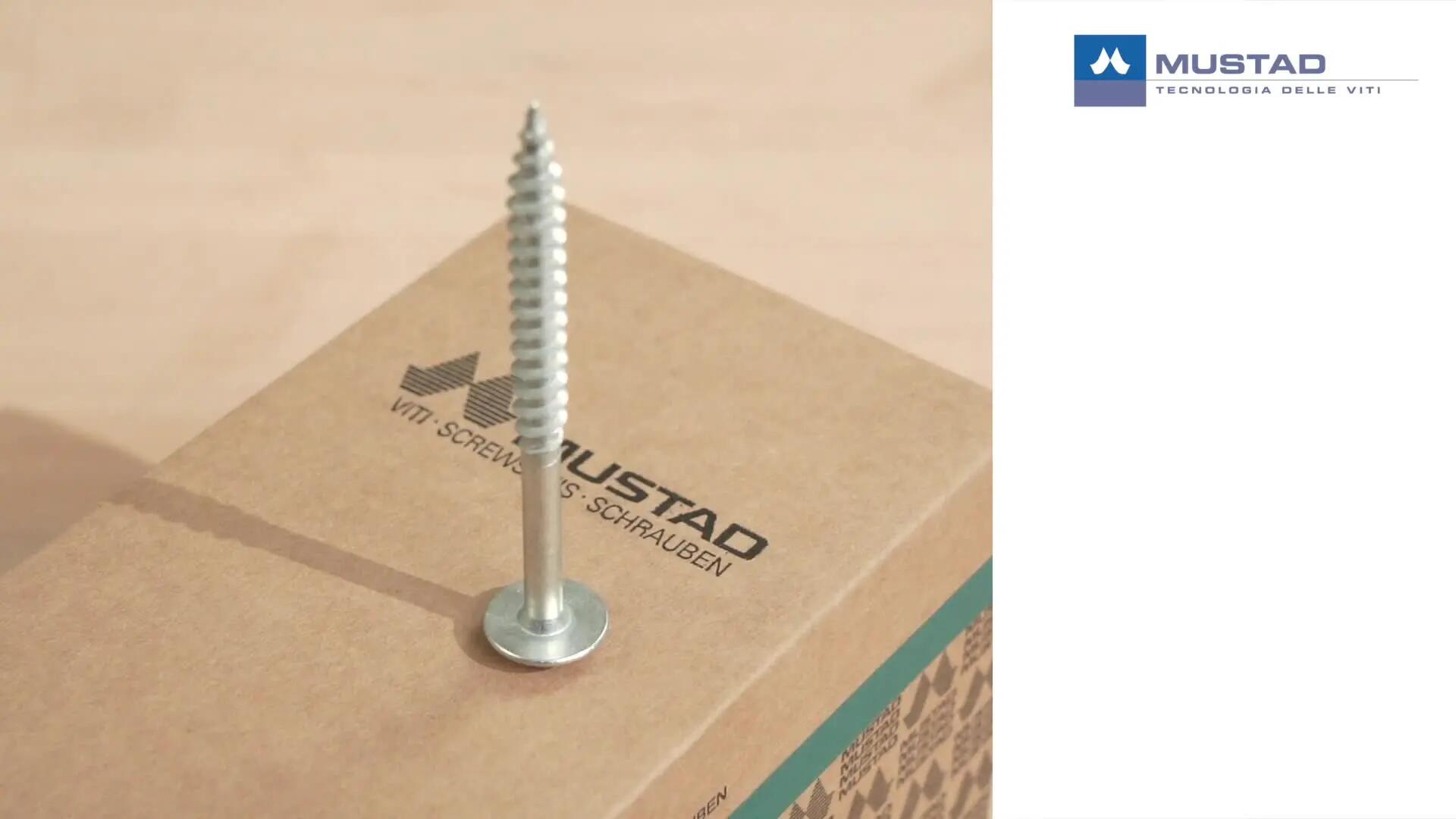 Vite MUSTAD Panelvit® FC testa bombata T30 in acciaio zincato ø7XL80 mm, 100 pezzi - 2