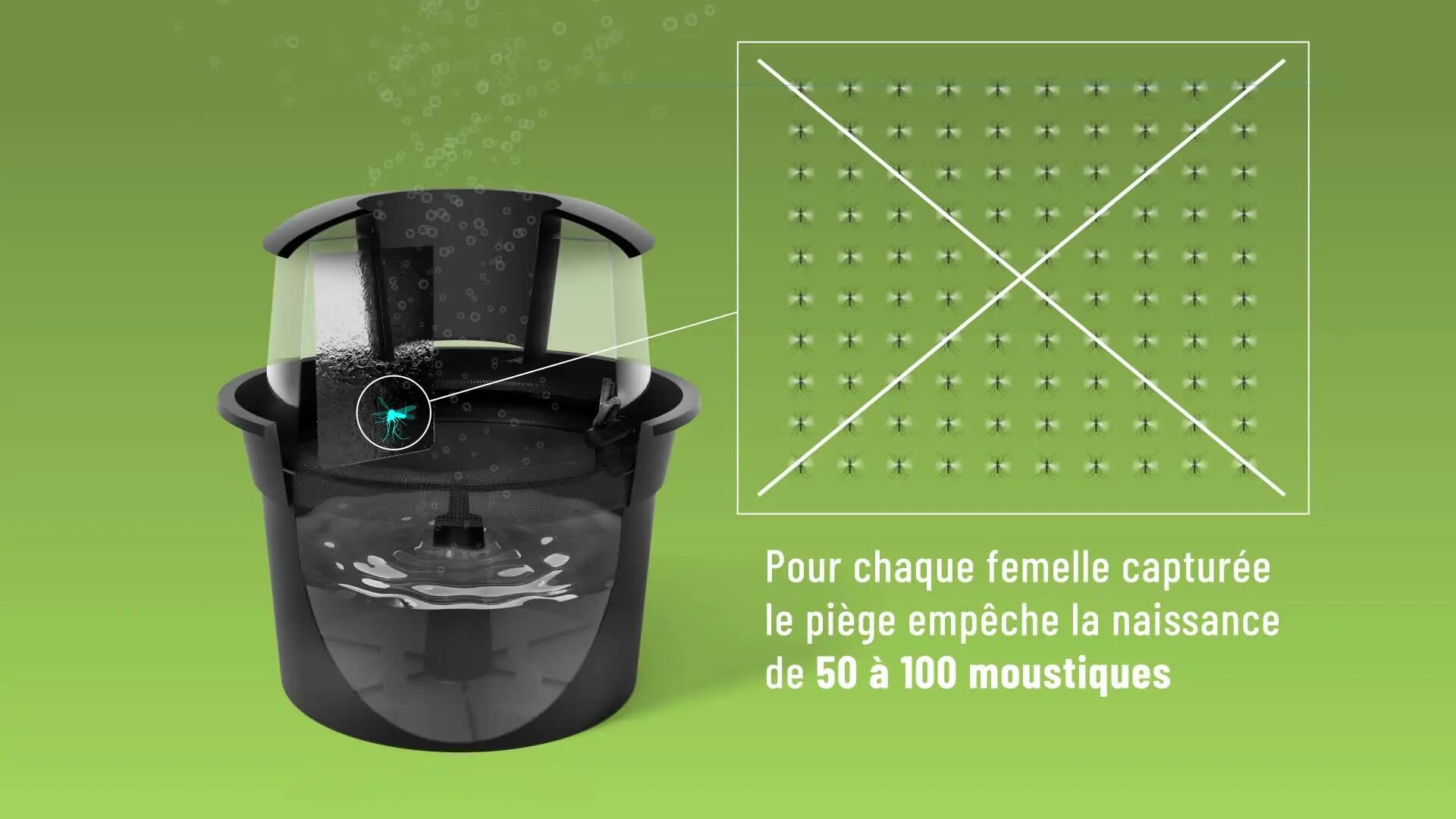 Piège anti-moustiques Bg-home - 11