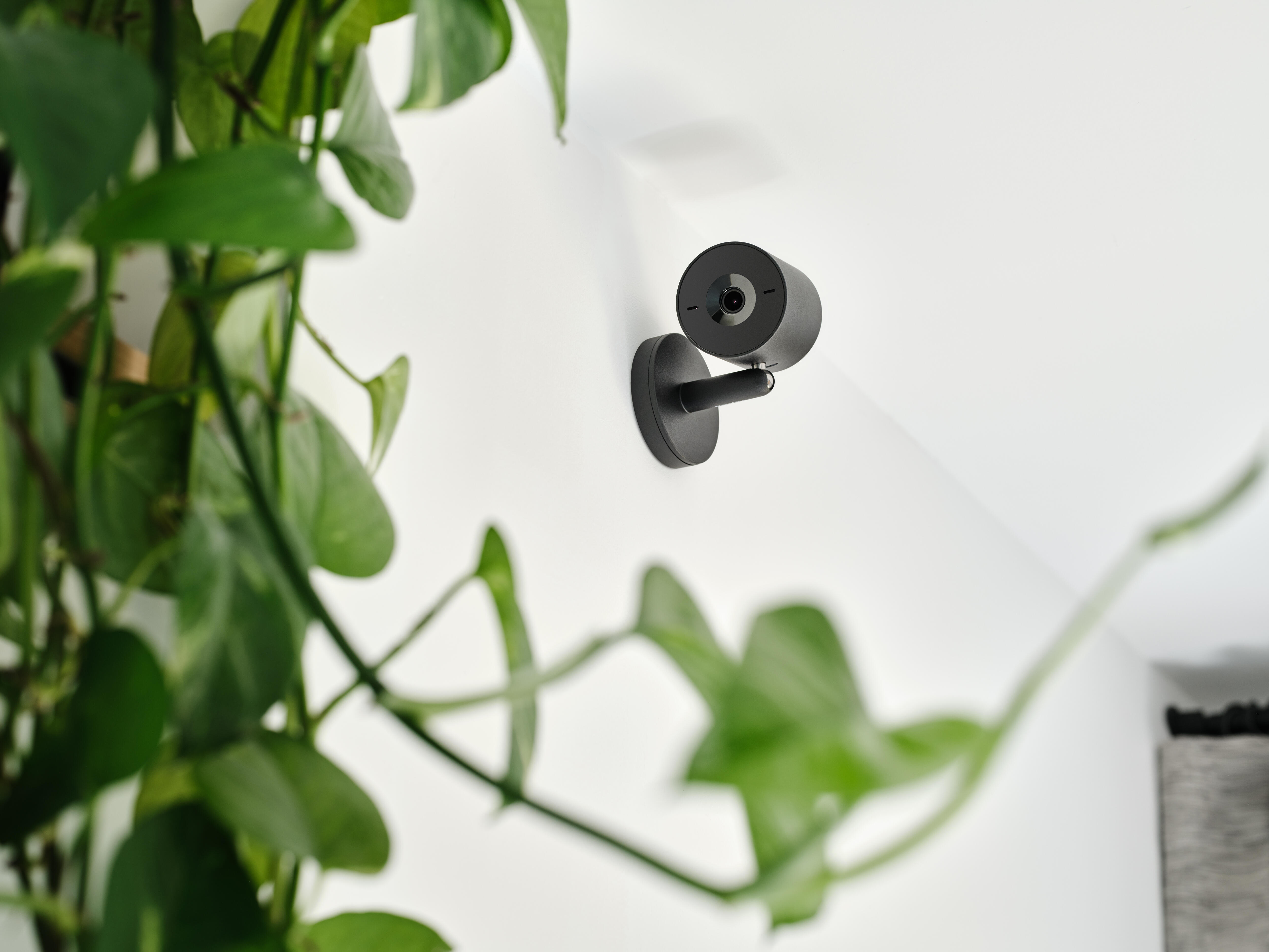 Caméra de surveillance intérieure filaire, noir, Netatmo - 3