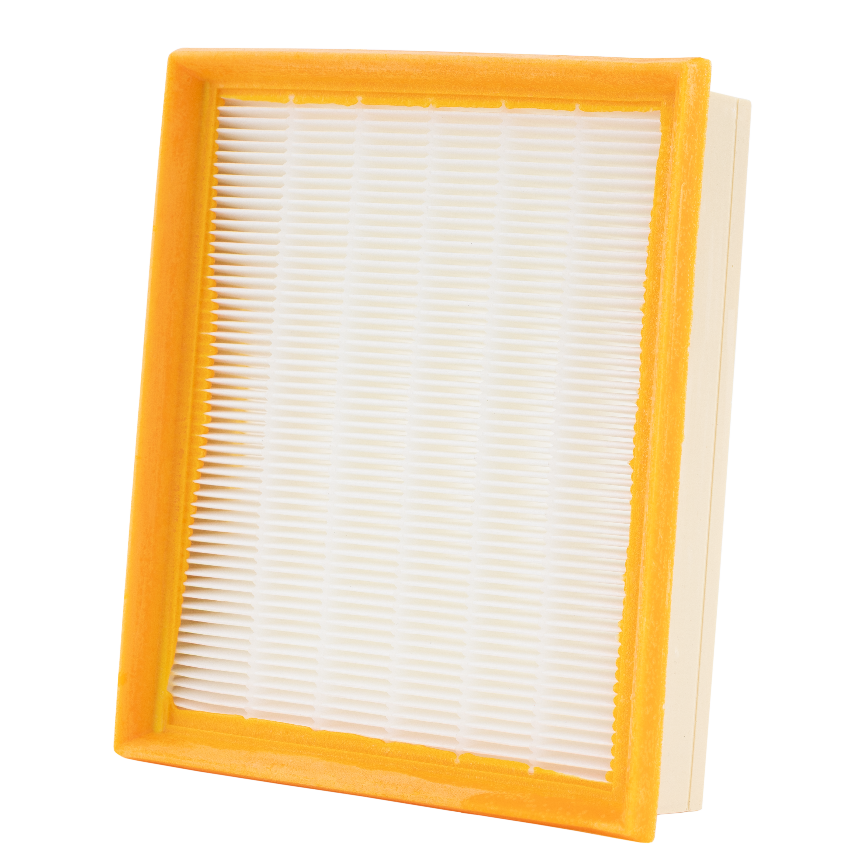 Filtre plat plissé pour aspirateur DWDP30, DEXTER - 3