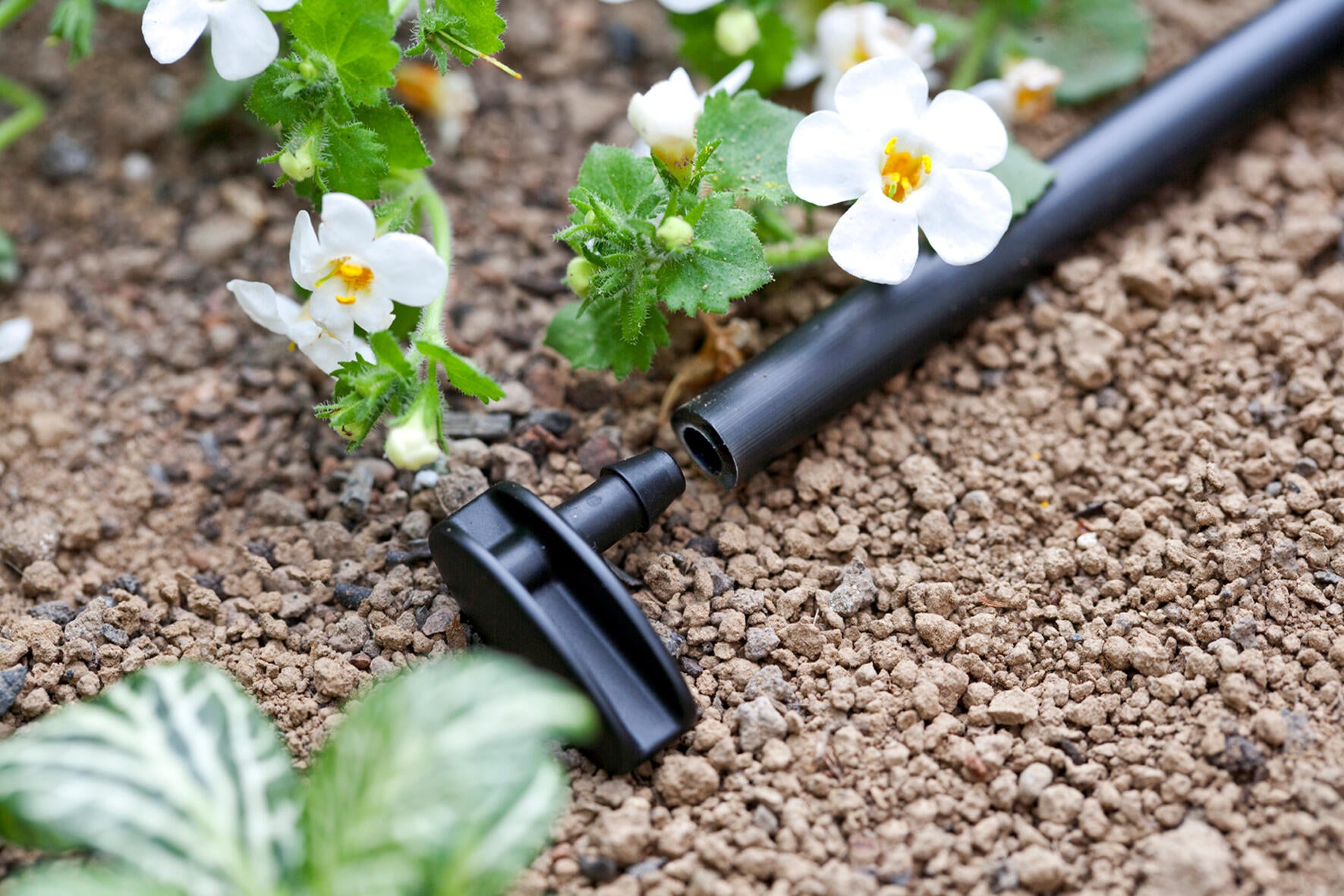 Tappo per irrigazione CLABER tubo/foro in abs adatto a tubi di ⌀ 16 mm, 10 pezzi - 2