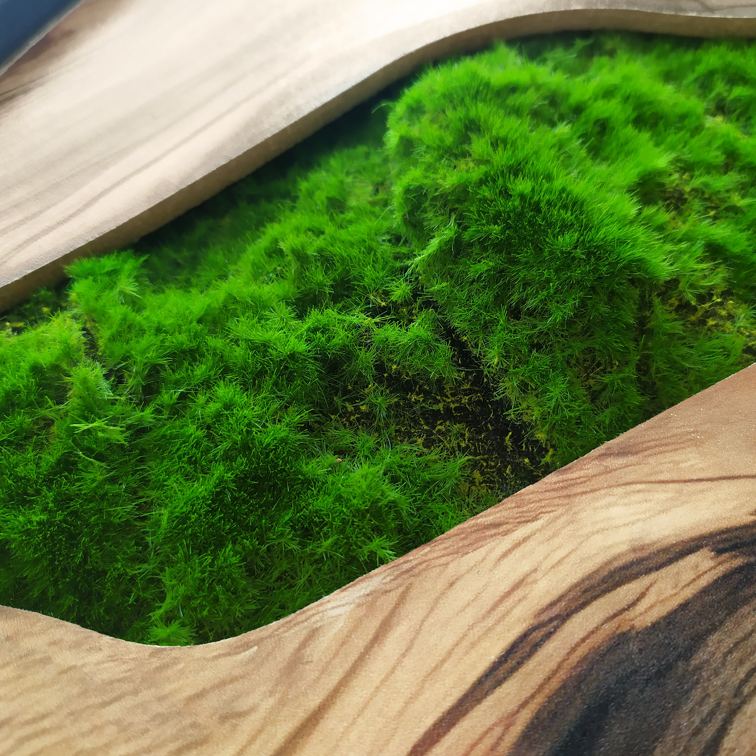 Zegar ścienny Green Paul śr. 57 cm - 3