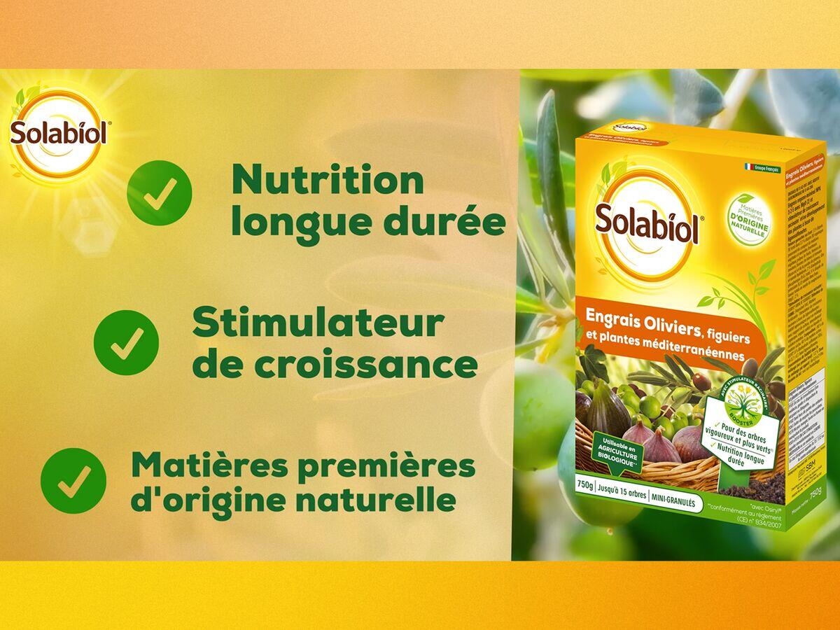 Engrais agrumes et plantes méditerranéennes SOLABIOL - 2