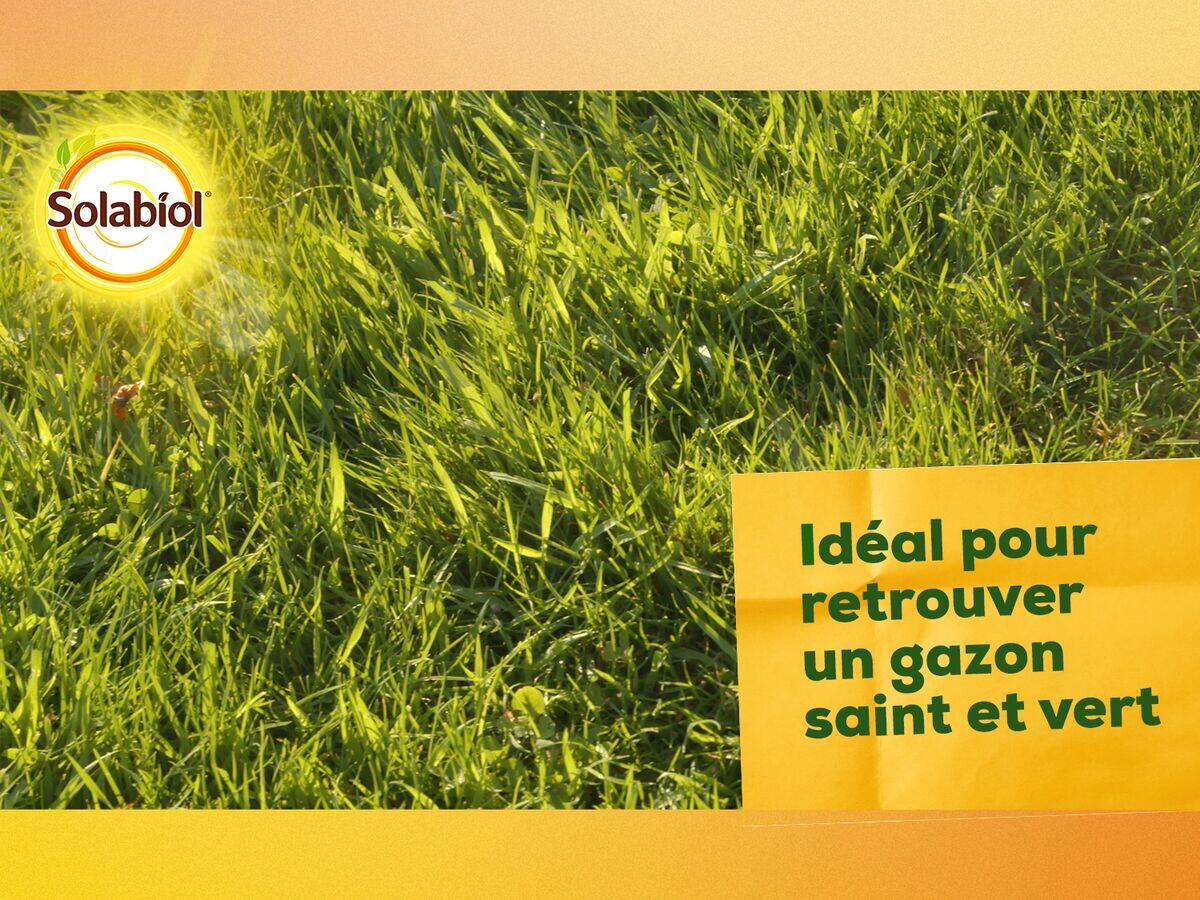 Engrais pelouse SOLABIOL 100 m² - 4