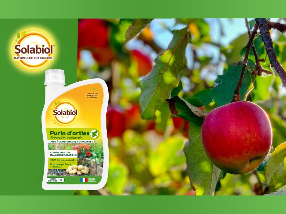 Engrais potager SOLABIOL - 2