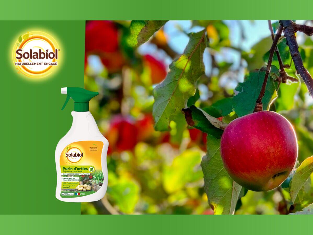 Engrais potager SOLABIOL - 2