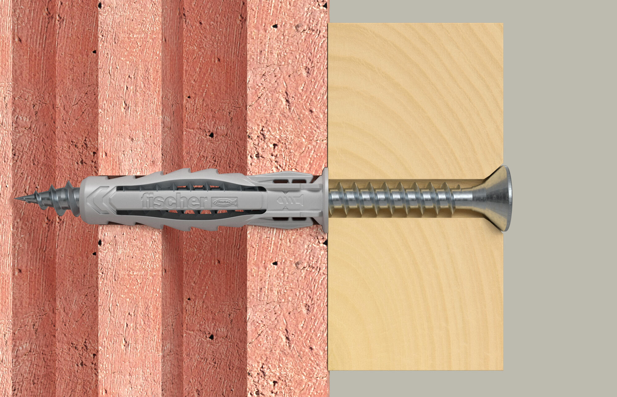 Cheville FISCHER, Ø25 x L.25 mm - 4