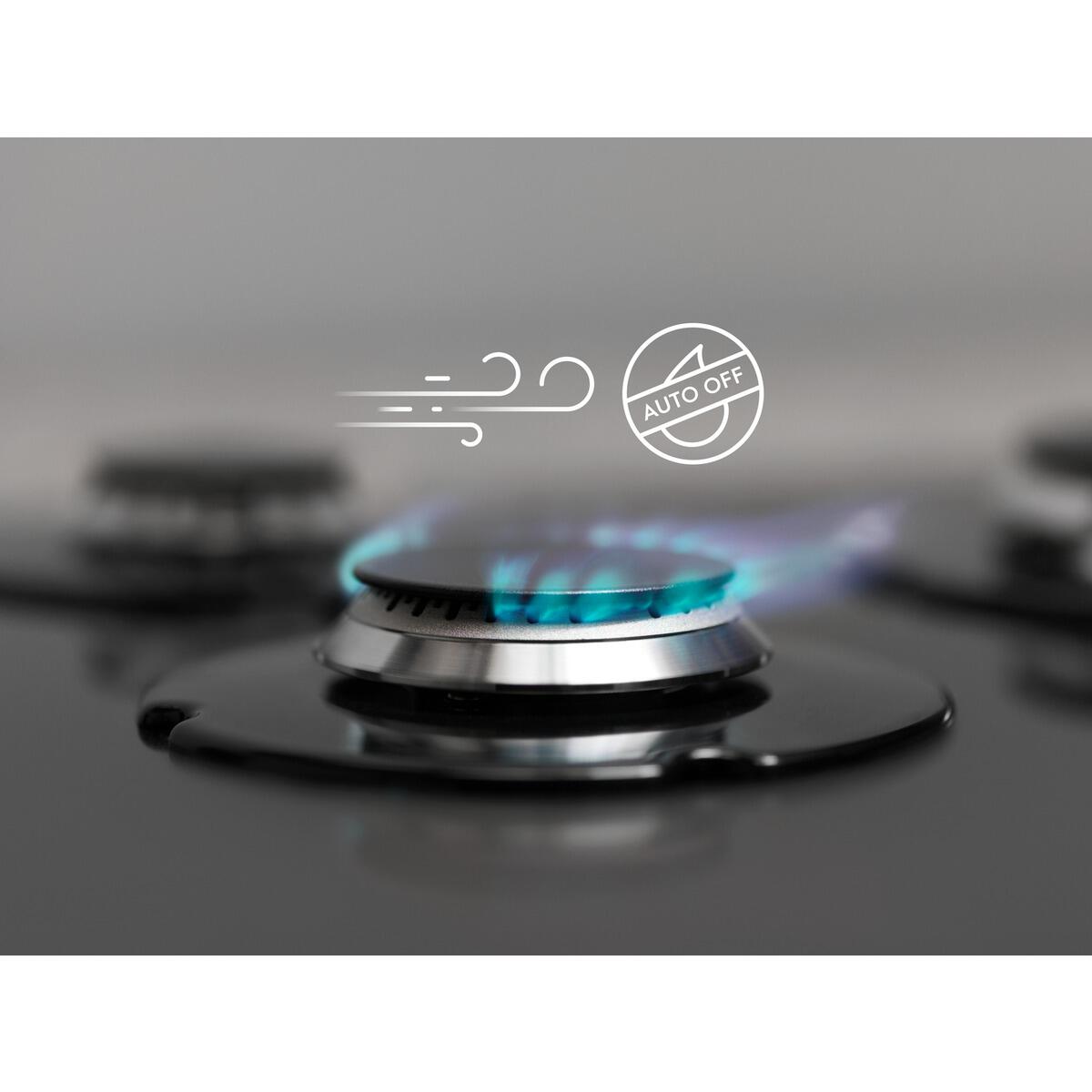 Sécurité gaz Electrolux - 1