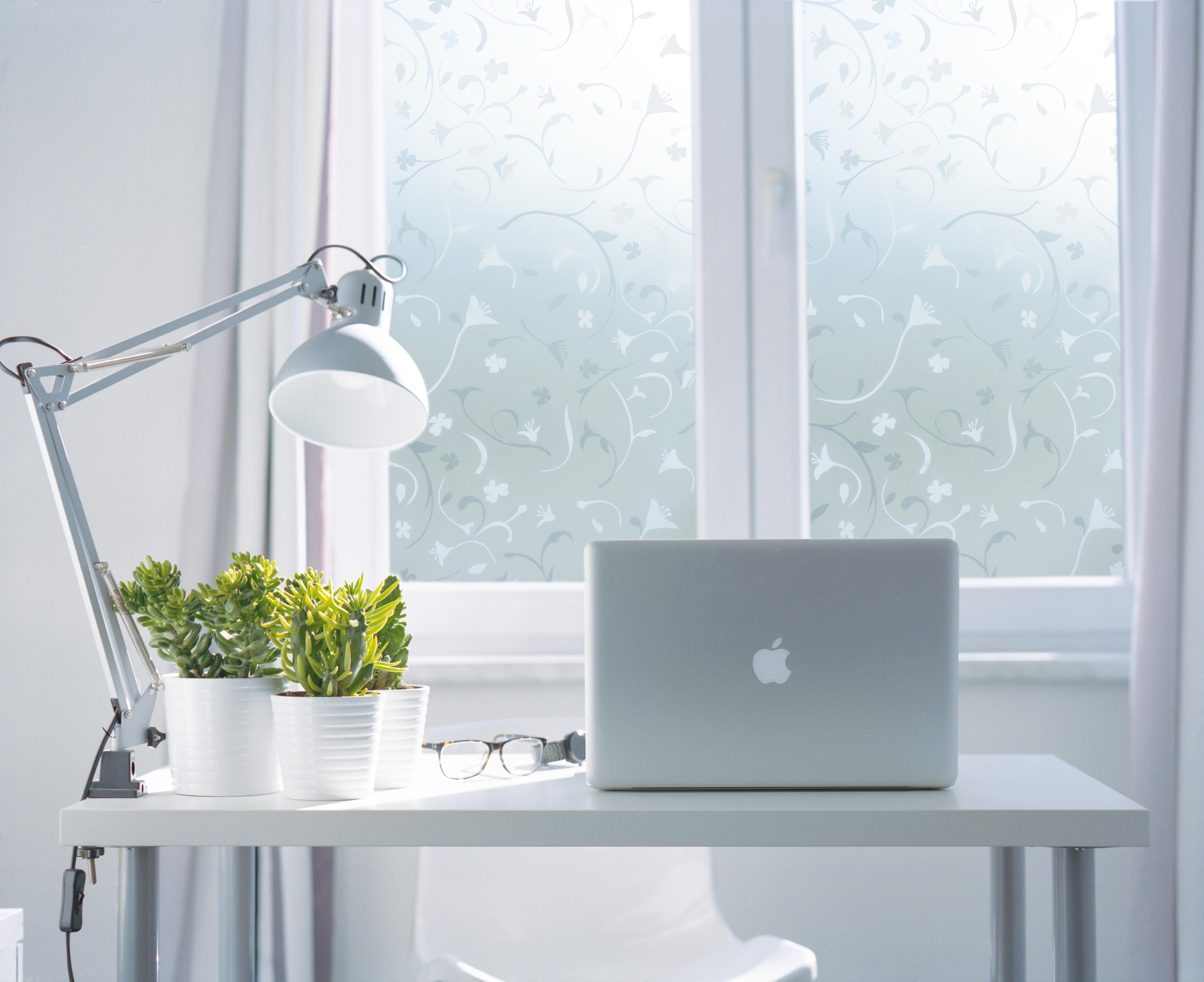 Rolo película para vidro 46cmx1.5m roma - 4