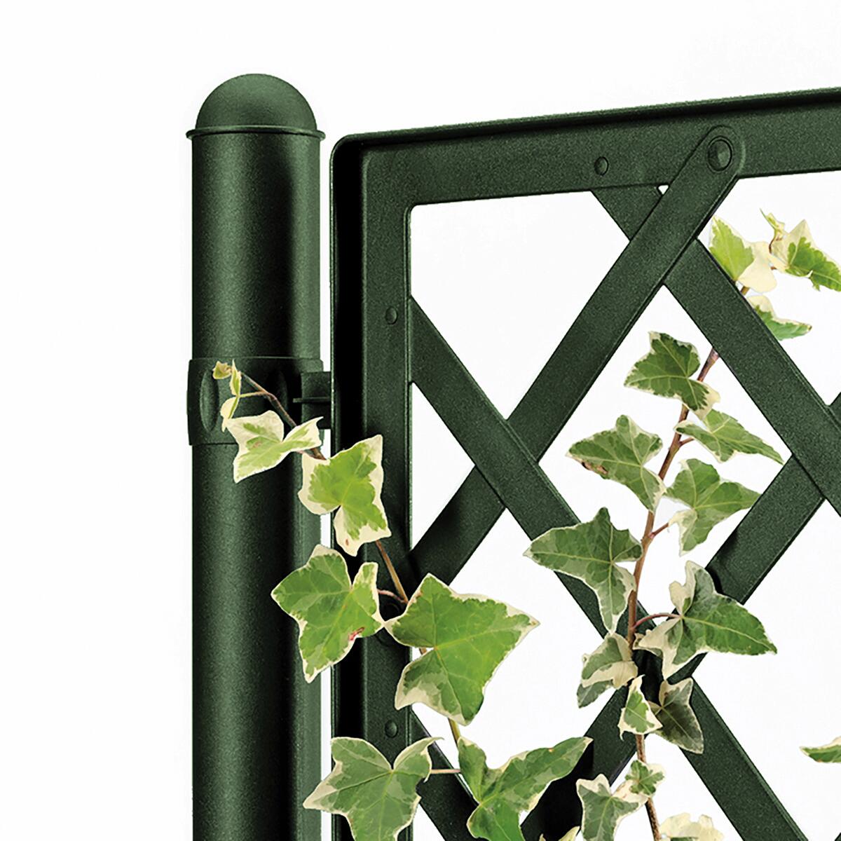 Fioriera STEFANPLAST in polipropilene H 142 x L 43 x P 43 cm - 2