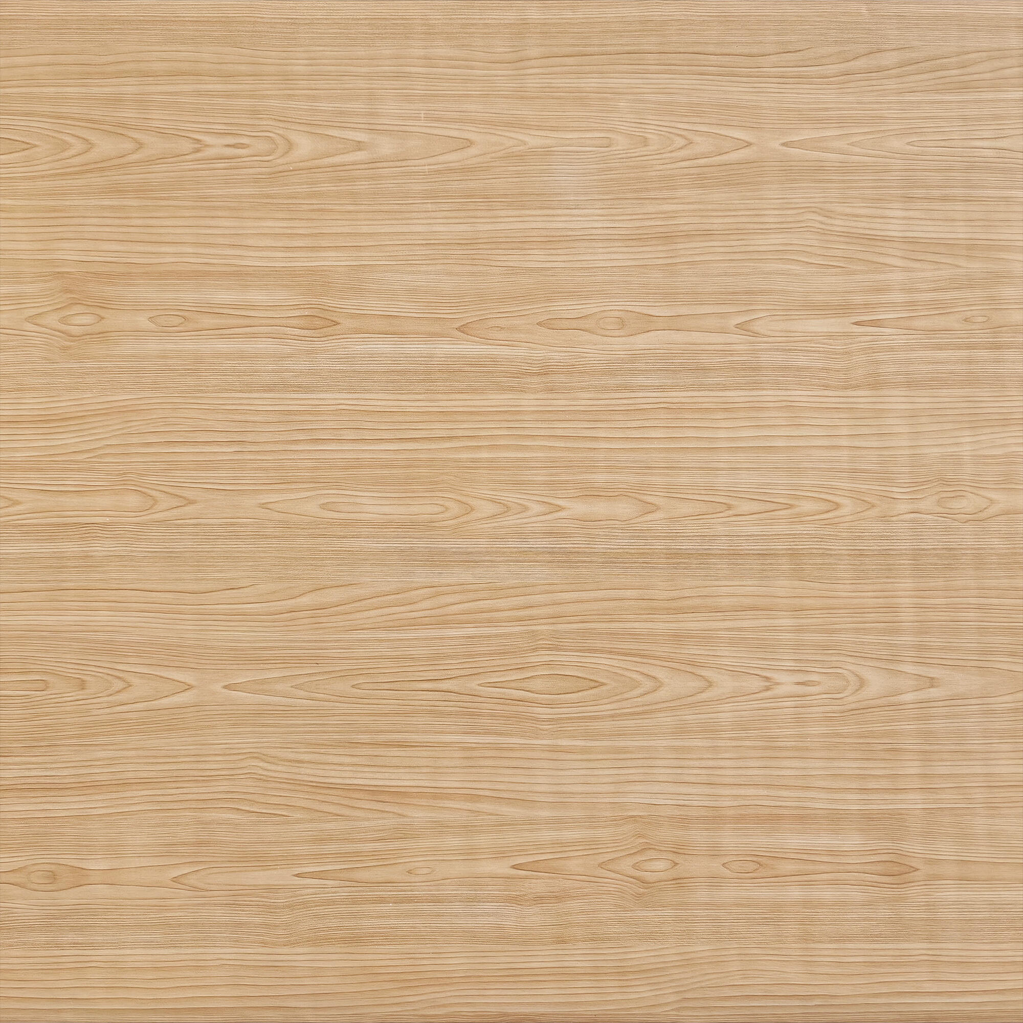 Rolo adesivo 90CMX2M ABEDUL - 6