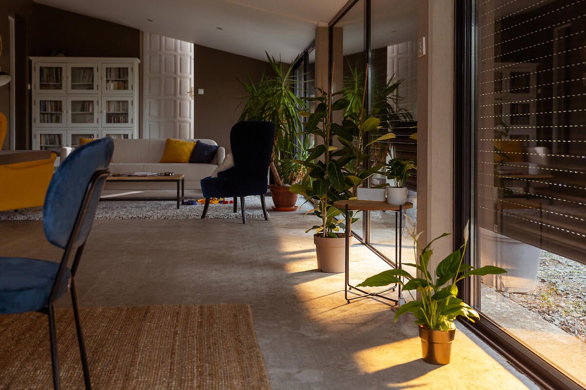 Alarme Starter Pack Somfy - 4