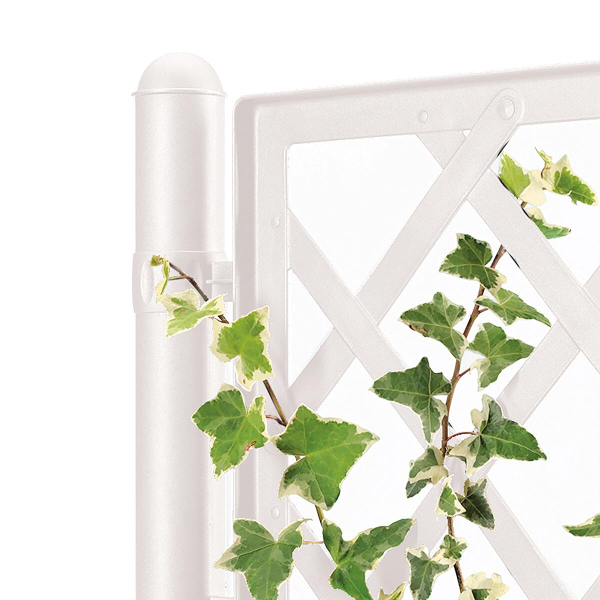 Fioriera con grigliato Deluxe STEFANPLAST in polipropilene bianco H 142 x L 43 x P 43 cm - 8
