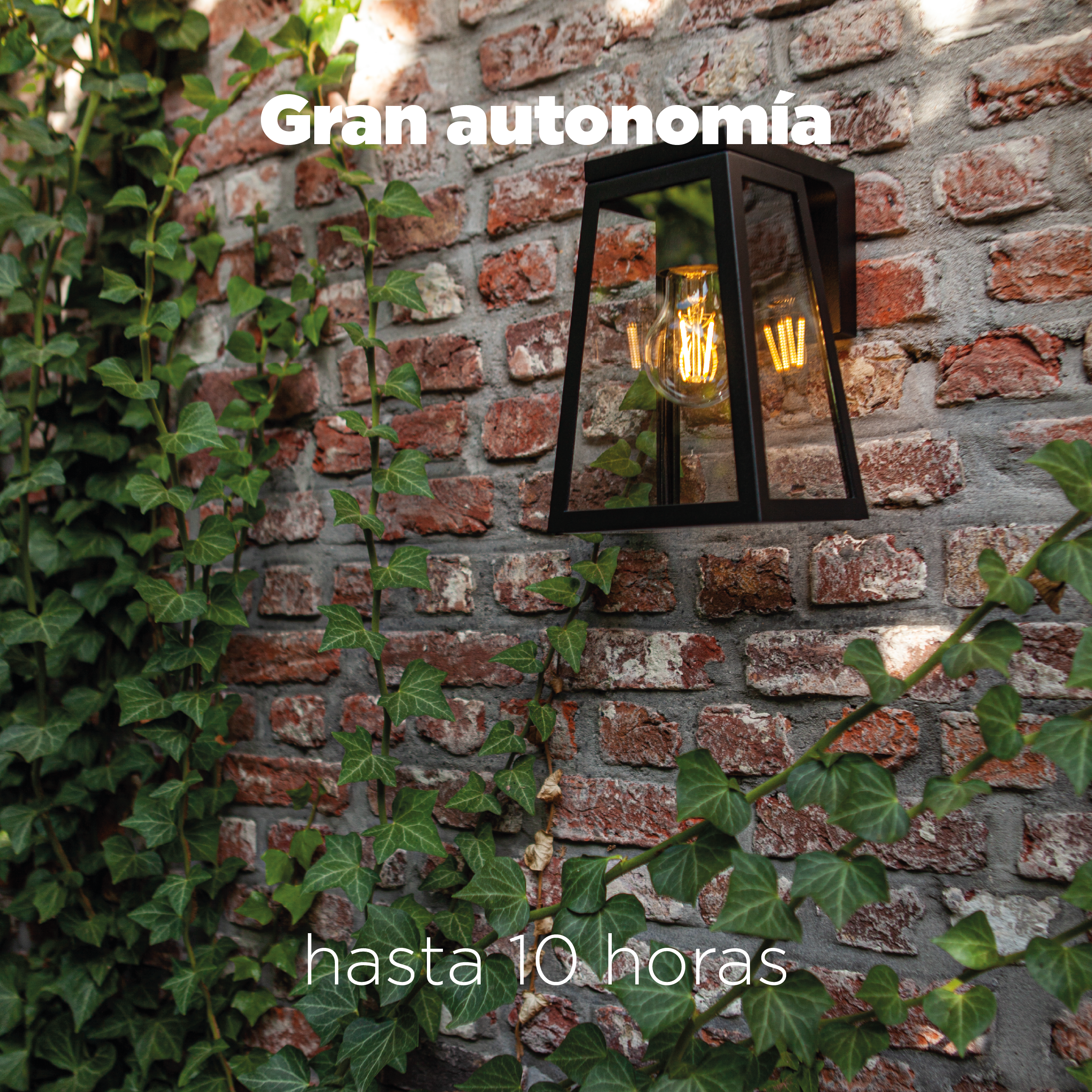 Aplique solar exterior luz LED 2700K luz cálida 200 lúmenes Fia LUTEC aluminio negro con detector de movimiento y sensor crepuscular IP44 10hrs aprox. con carga llena - 5