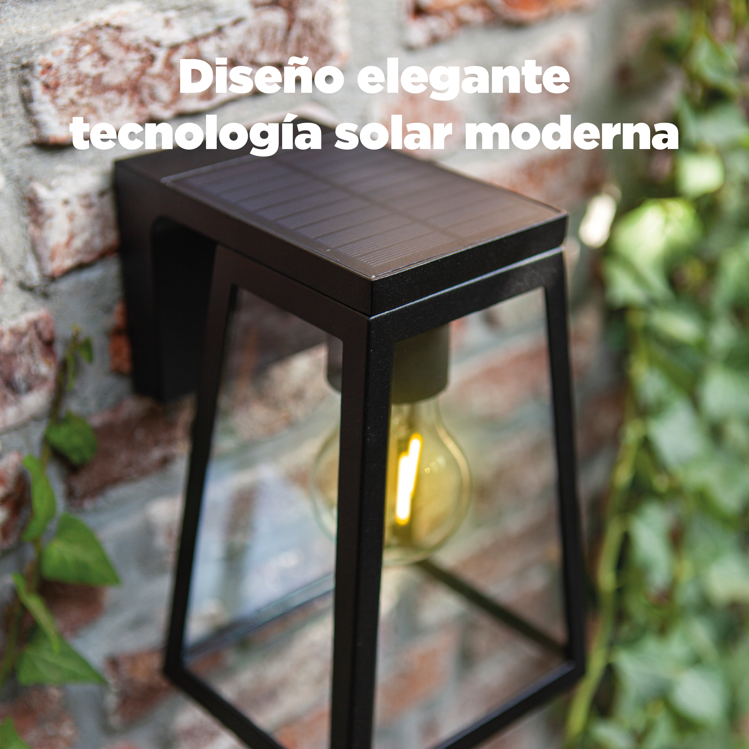 Aplique solar exterior luz LED 2700K luz cálida 200 lúmenes Fia LUTEC aluminio negro con detector de movimiento y sensor crepuscular IP44 10hrs aprox. con carga llena - 9