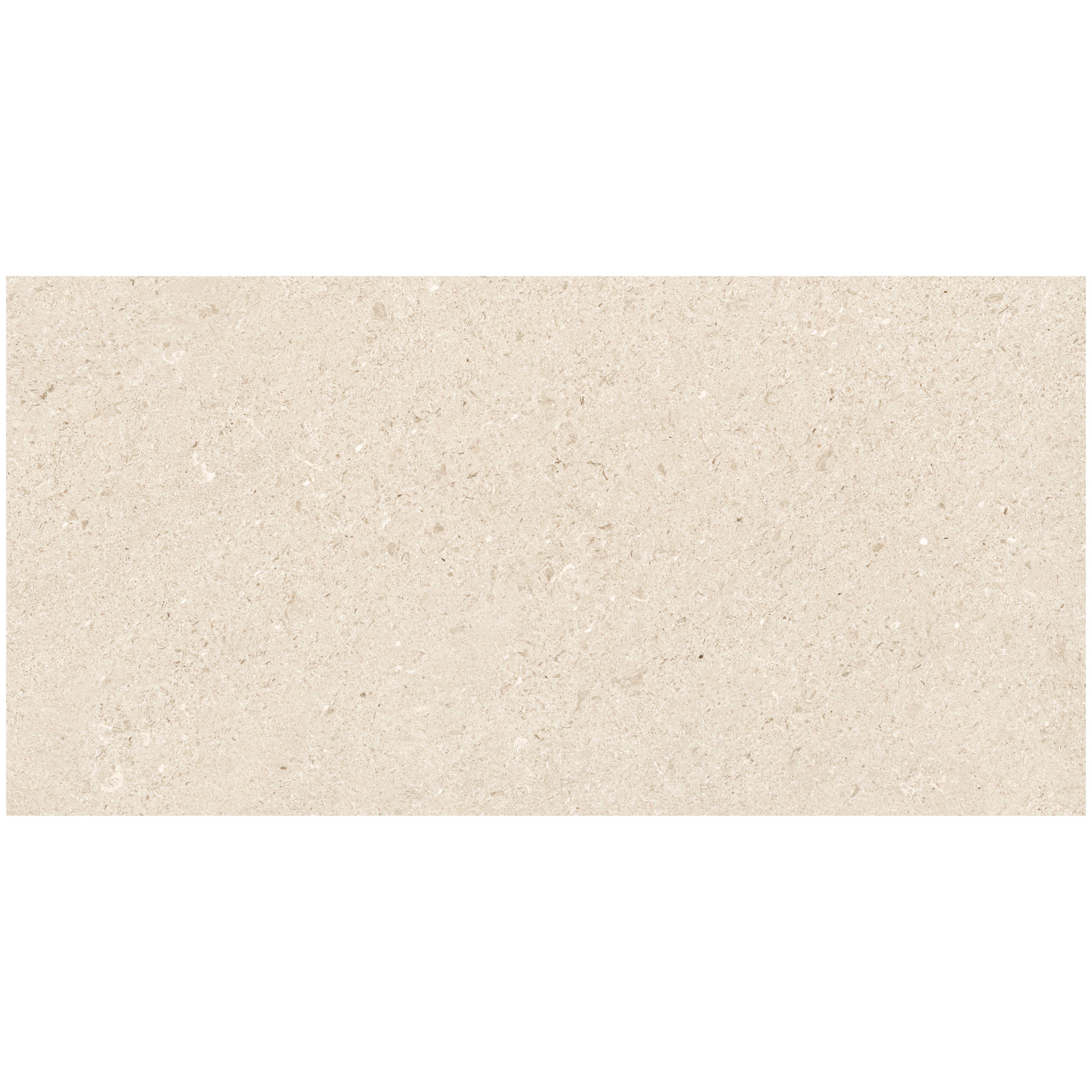 Carrelage sol extérieur effet pierre beige Lyra l.60.0 x L.120.0 cm x Ep.8.0 mm - 6